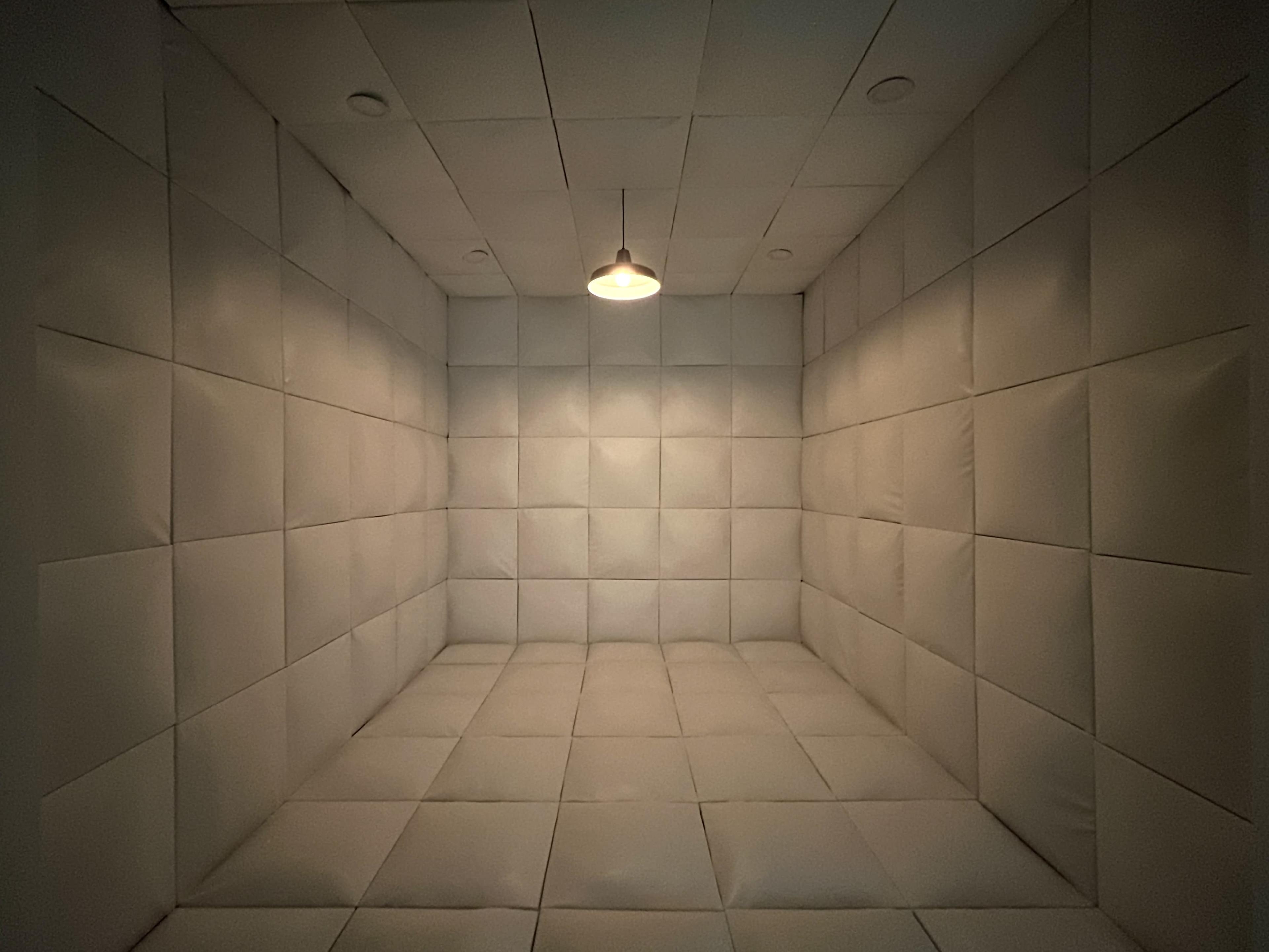 A padded room with white walls, a single overhead light, and no furniture.