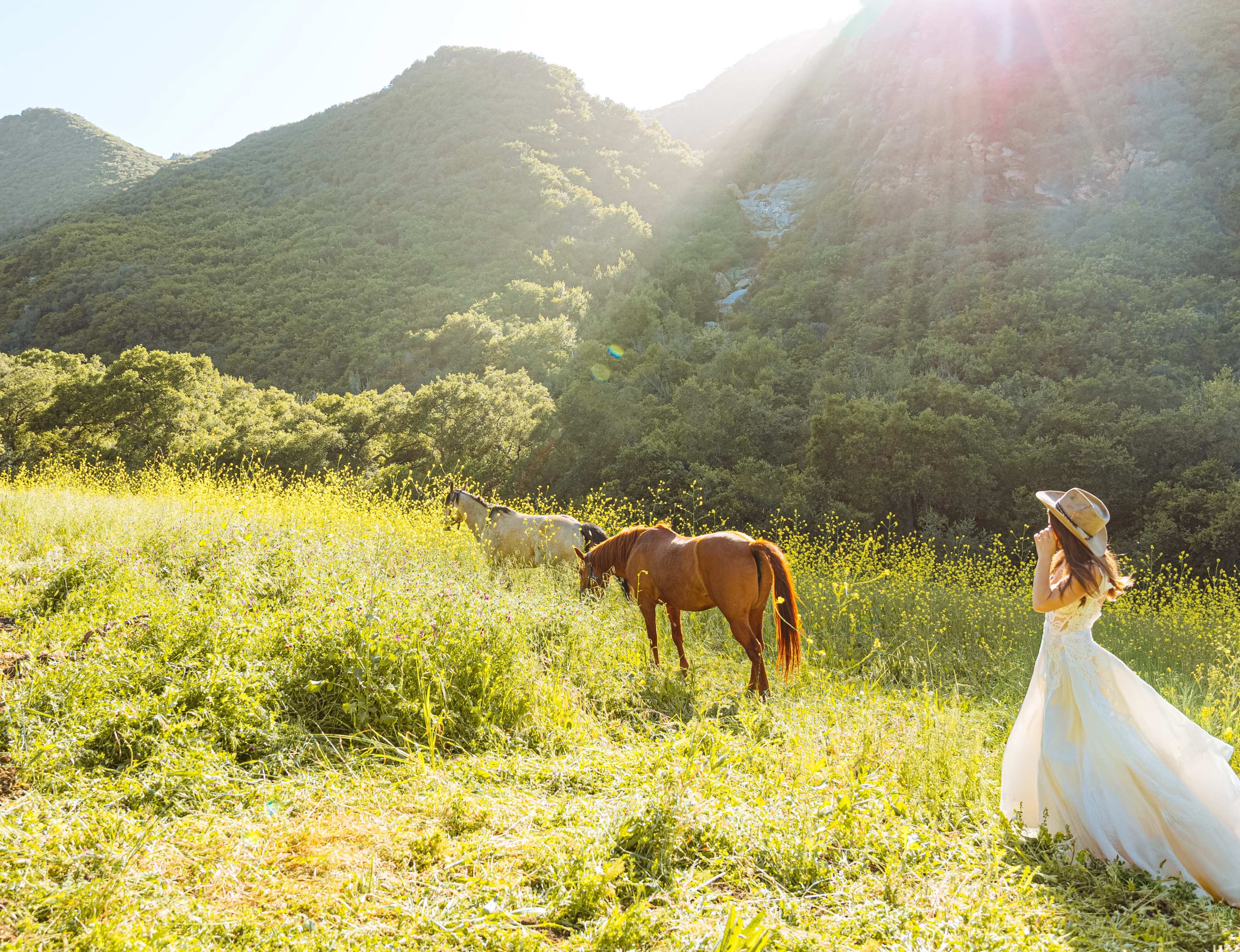A woman in a white dress stands in a sunlit field surrounded by horses and hills covered in greenery.
