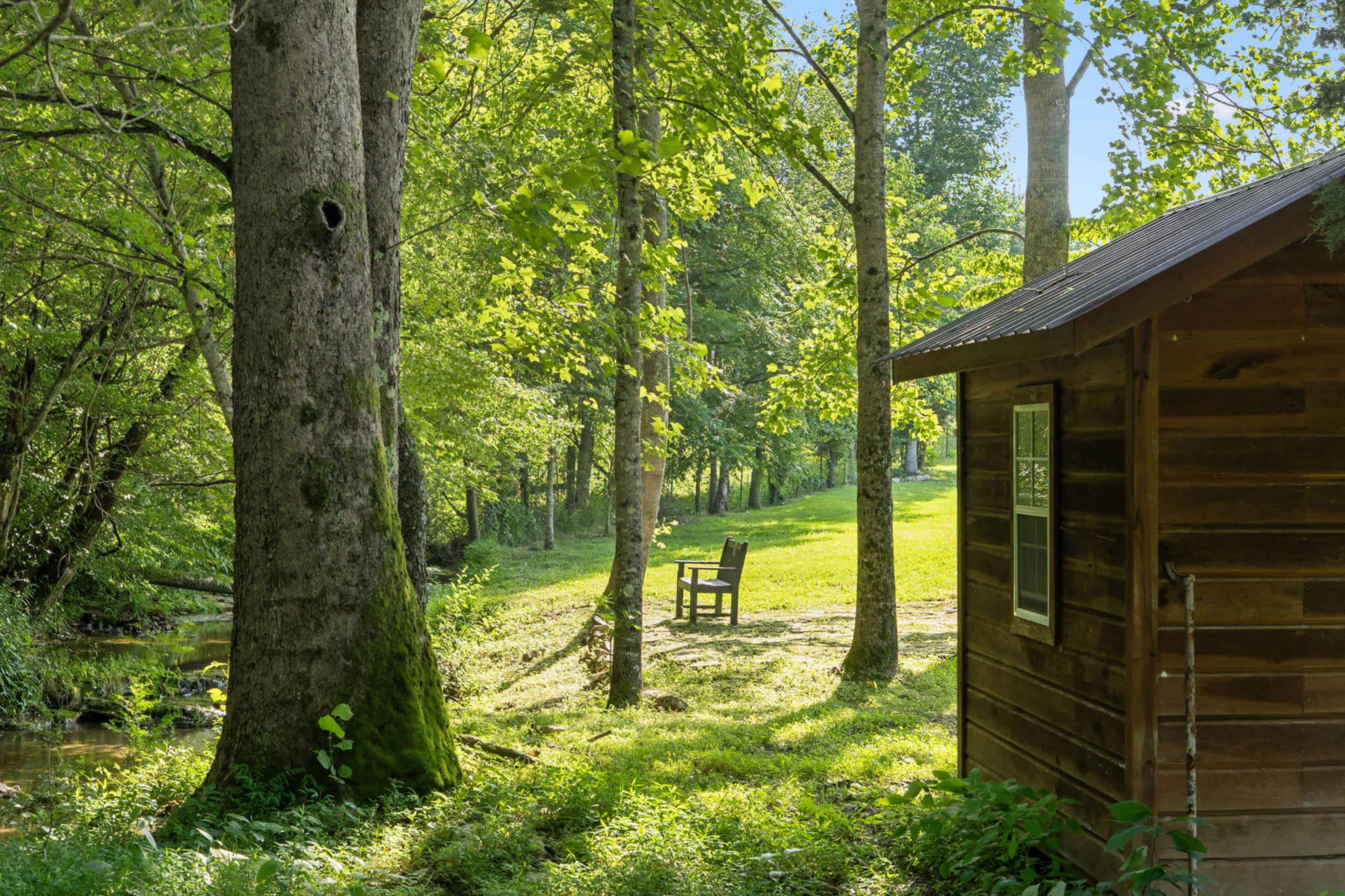 A wooden cabin sits beside a creek, with a chair positioned in a clearing surrounded by tall trees.
