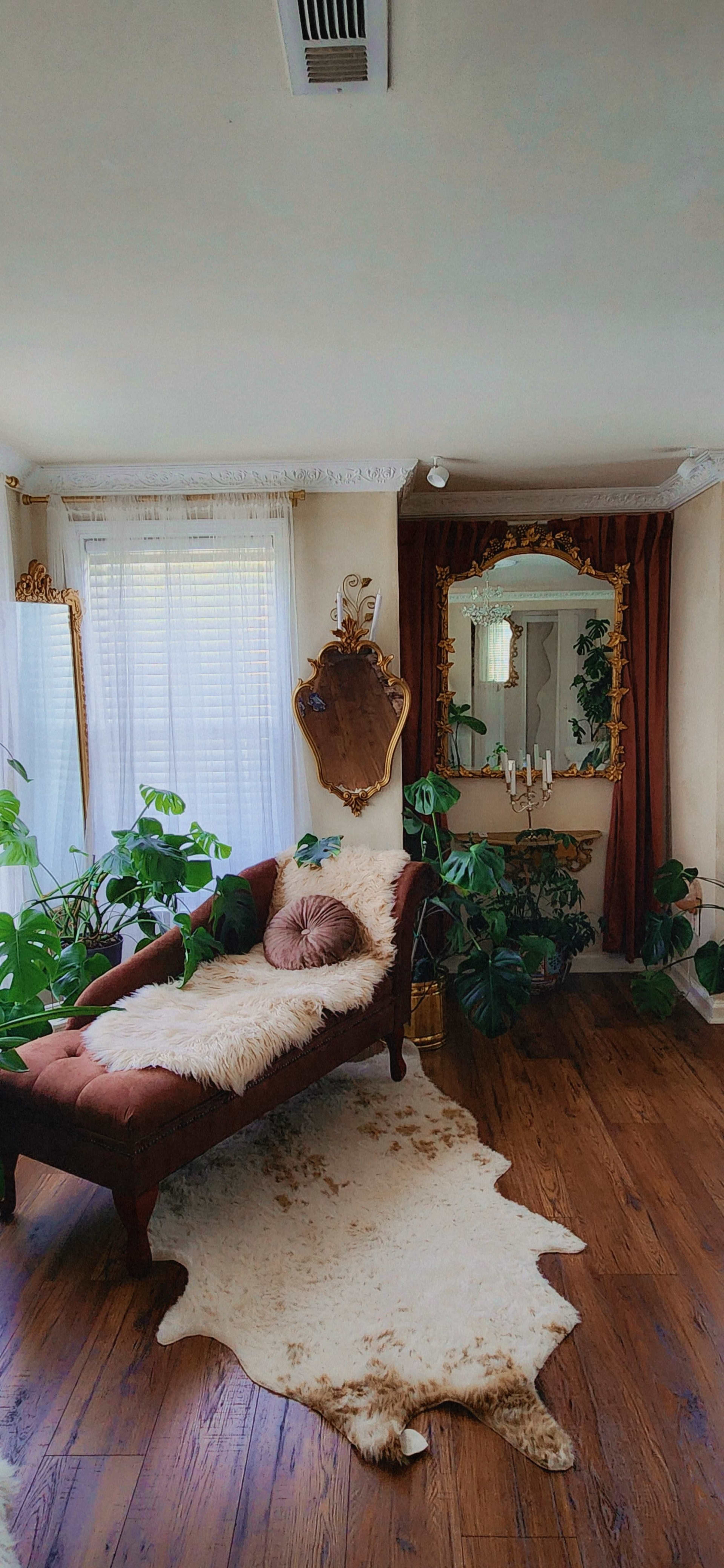 A cozy room features a chaise lounge with plush cushions, a decorative mirror framed in gold, and several indoor plants, all set on a wooden floor with a patterned rug.