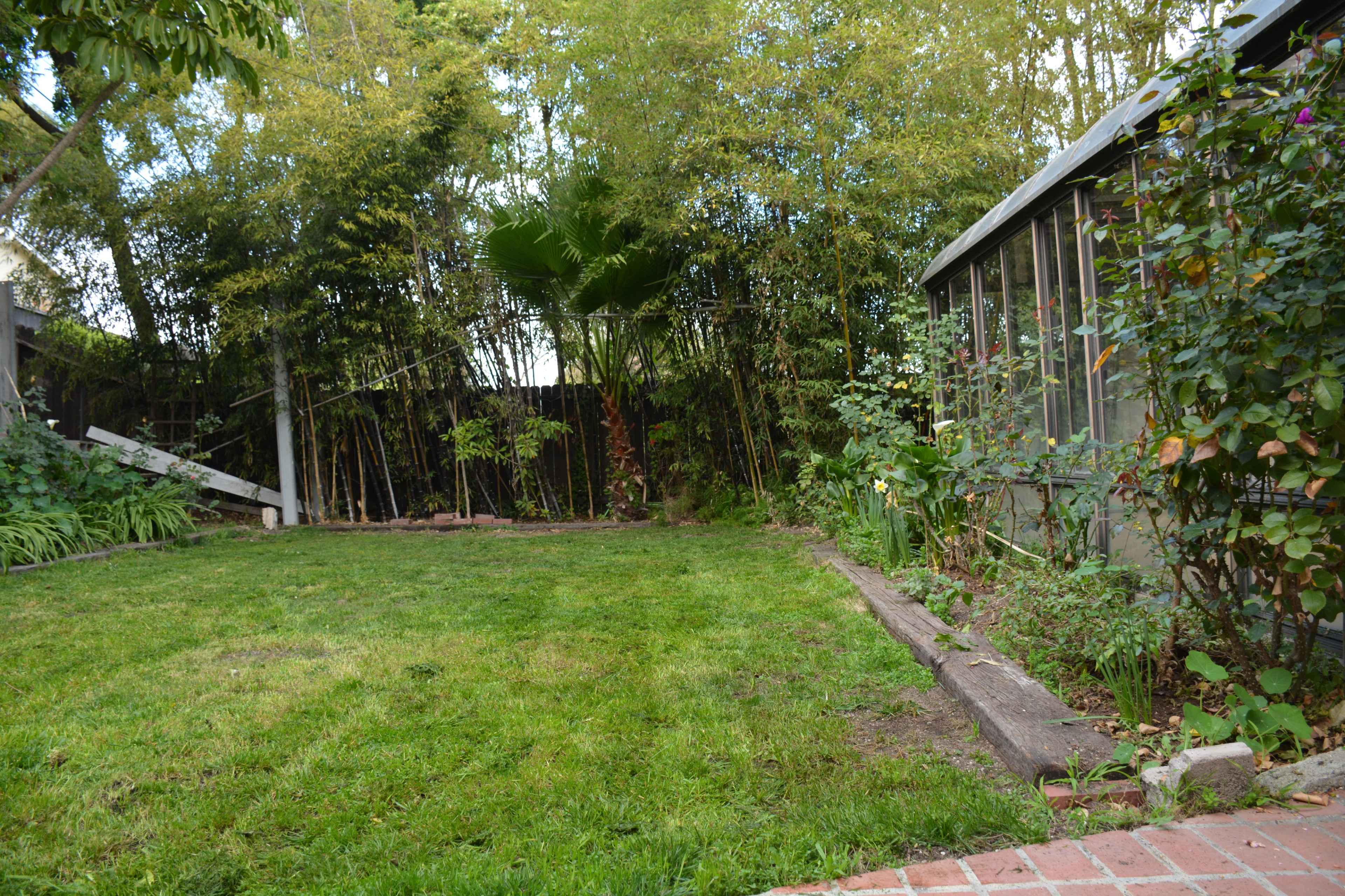 A grassy backyard with a greenhouse on one side and bamboo plants along the back fence.
