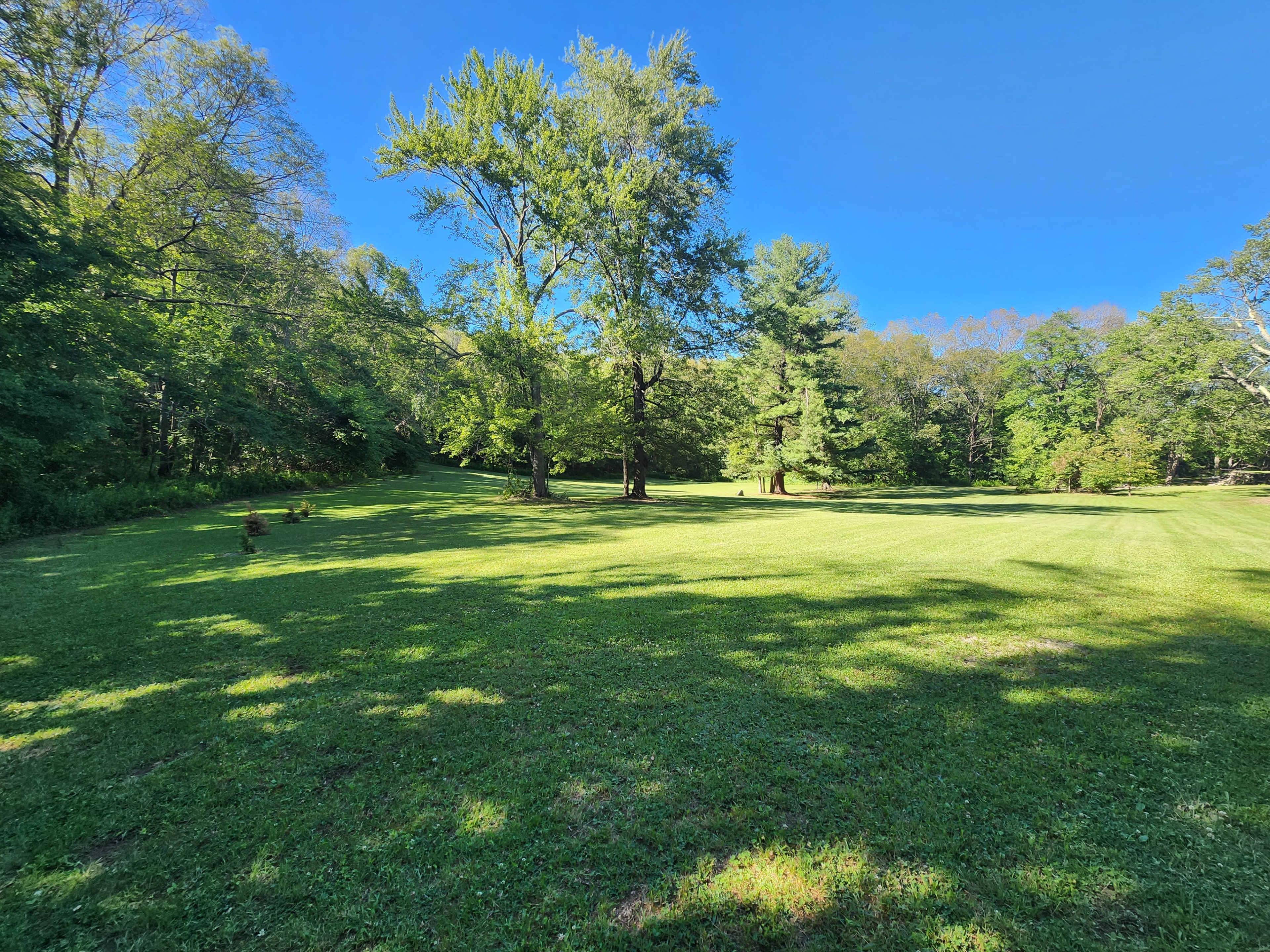 A grassy lawn is surrounded by trees under a clear blue sky.