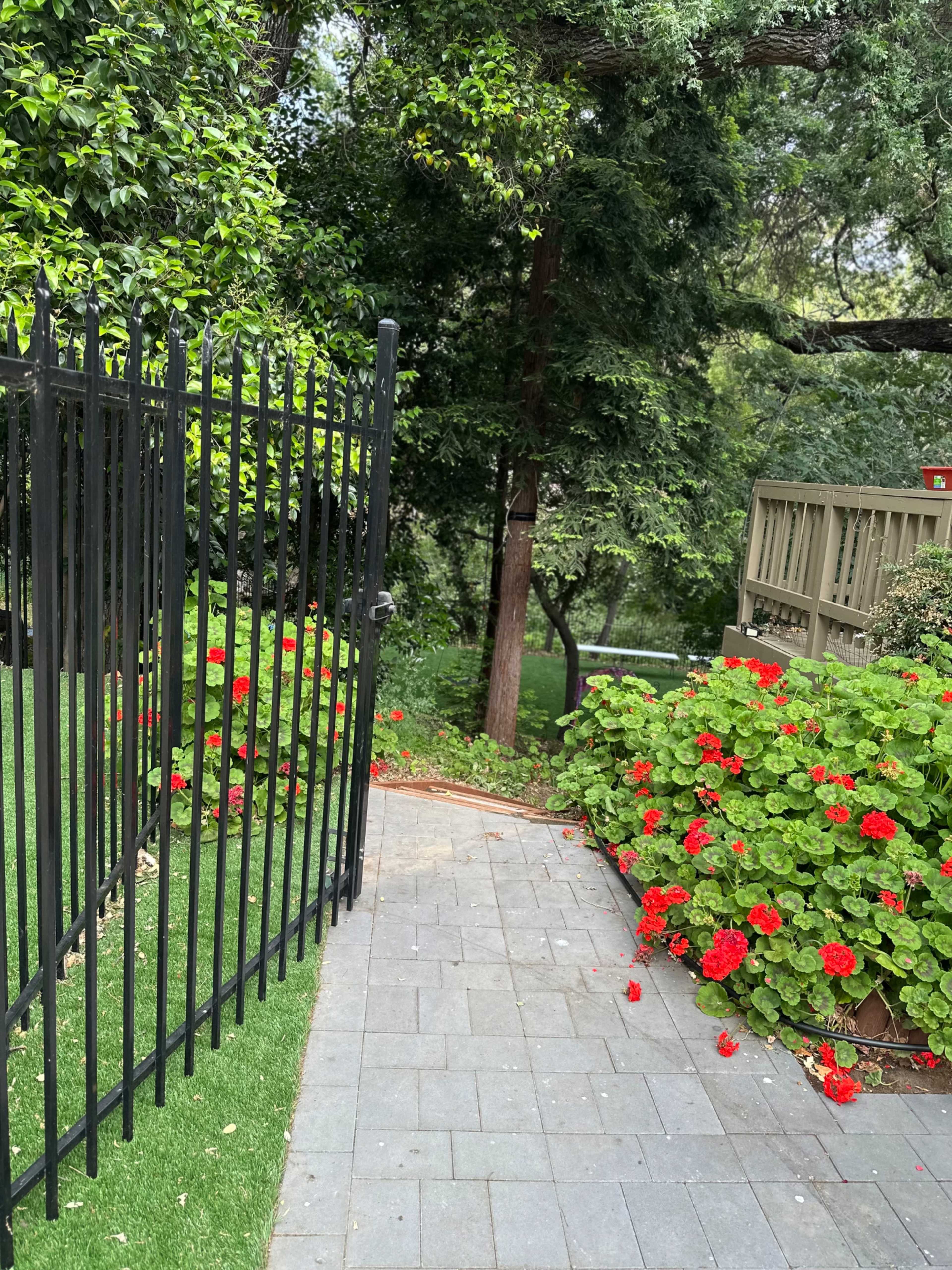 Huge Naturally shaded Creekside backyard! Image in Almaden Guadalupe Park, San jose, CA