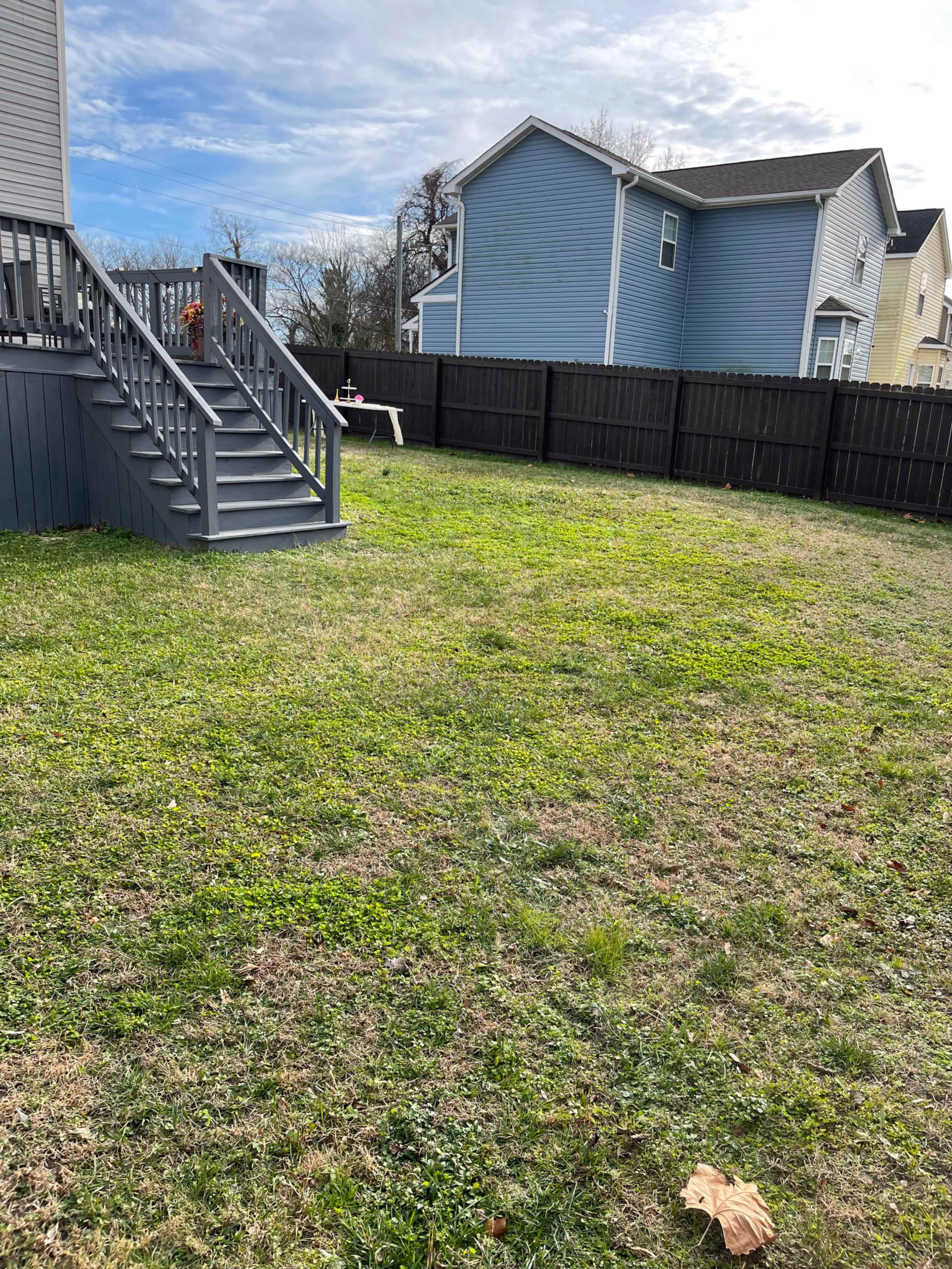 Ultimate Backyard Oasis Image in Barraud Park, Norfolk, VA