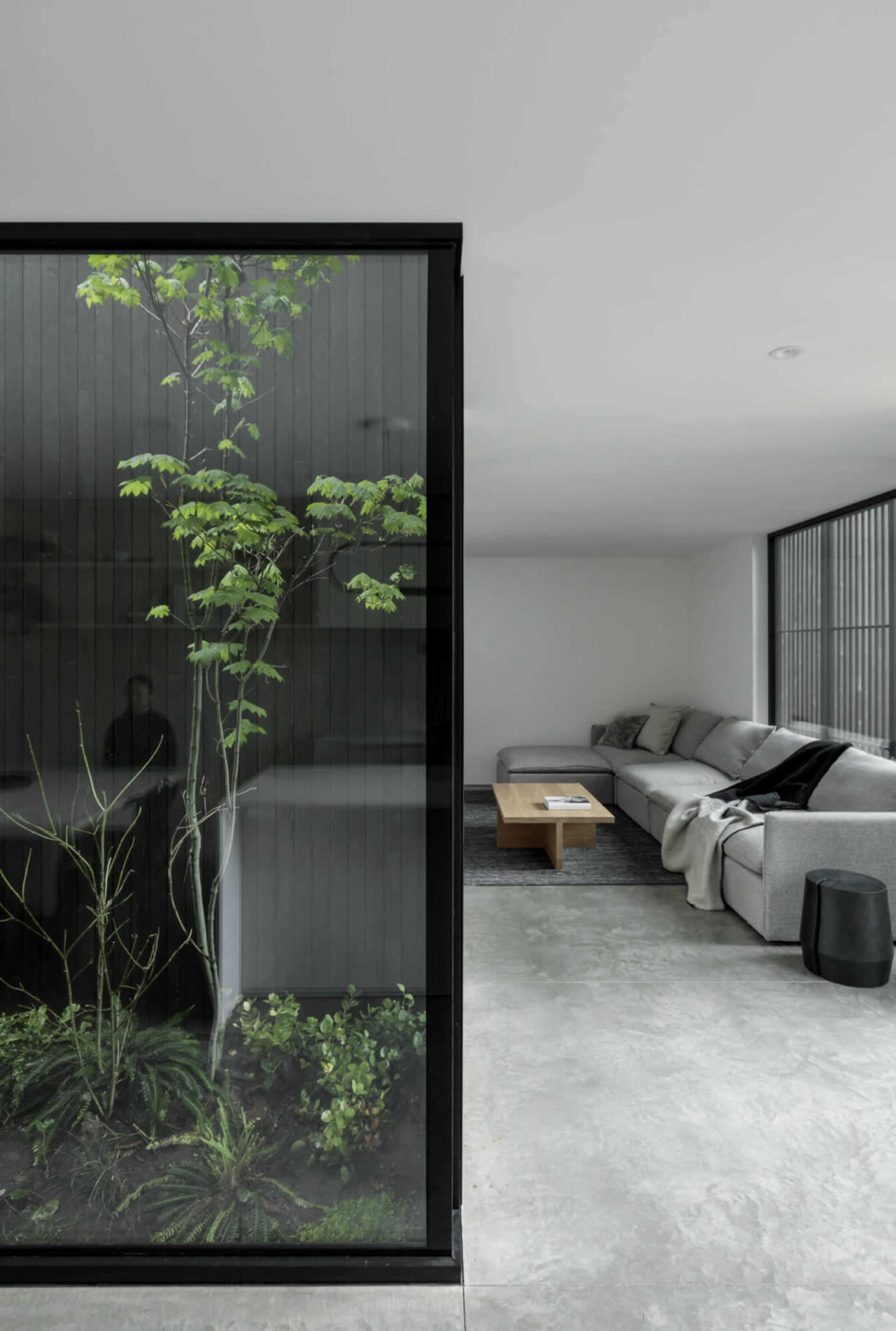 A modern interior features a glass wall showcasing a small indoor garden beside a minimalist seating area.