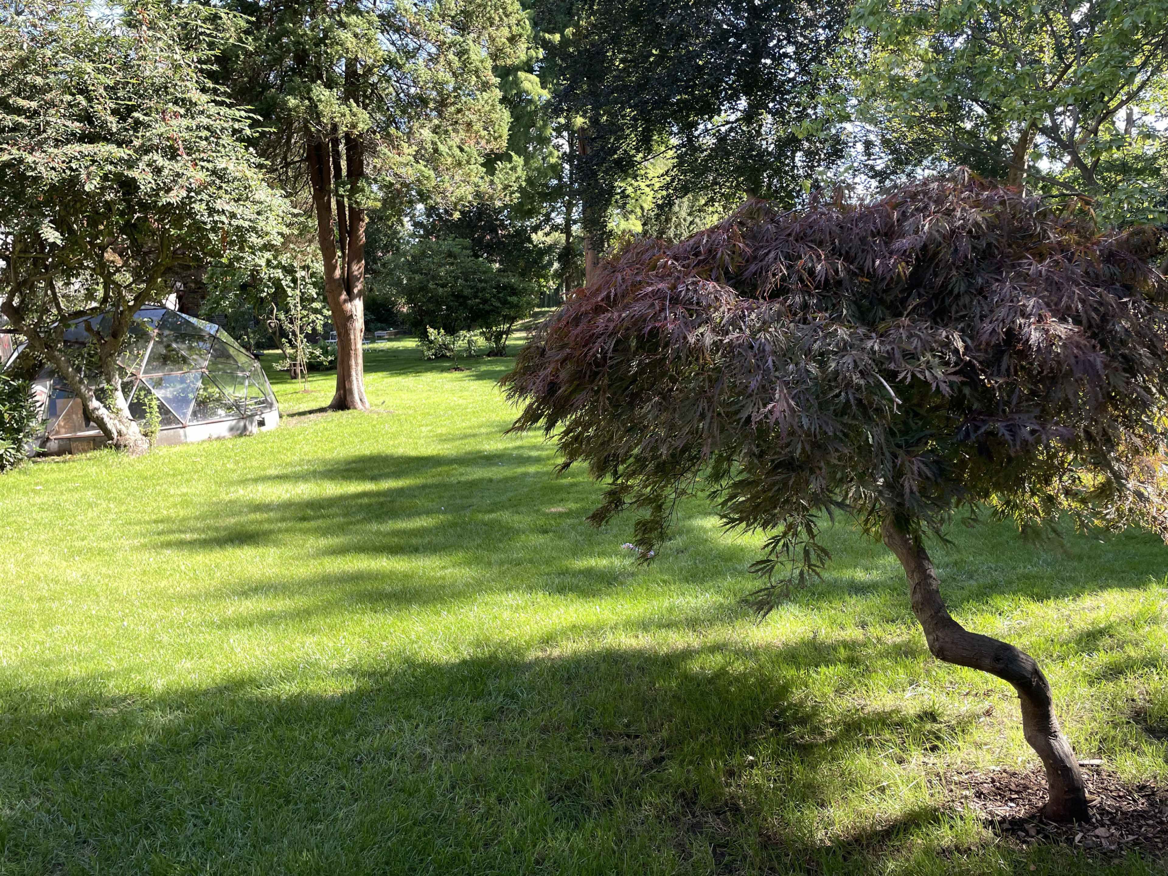 Riverside Retreat Private Garden Image in Molesey, East Molesey, 