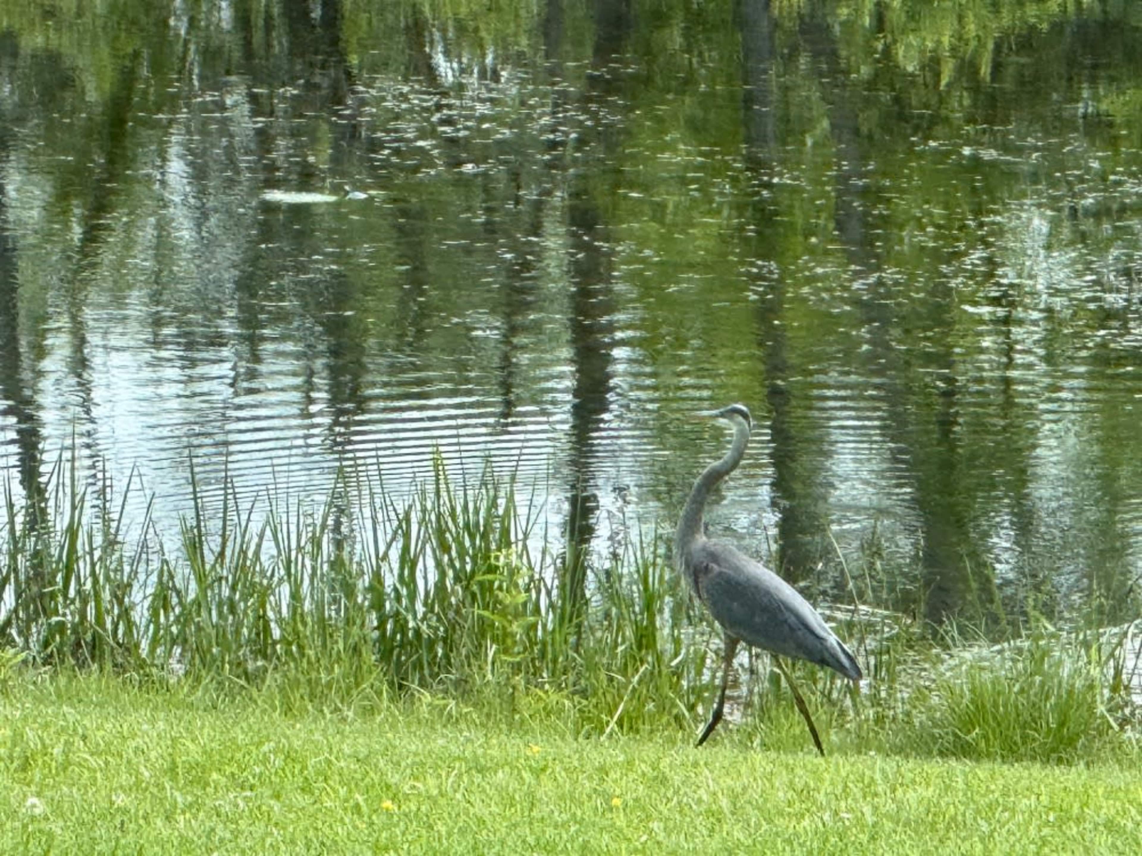 Additional locations for photos/video