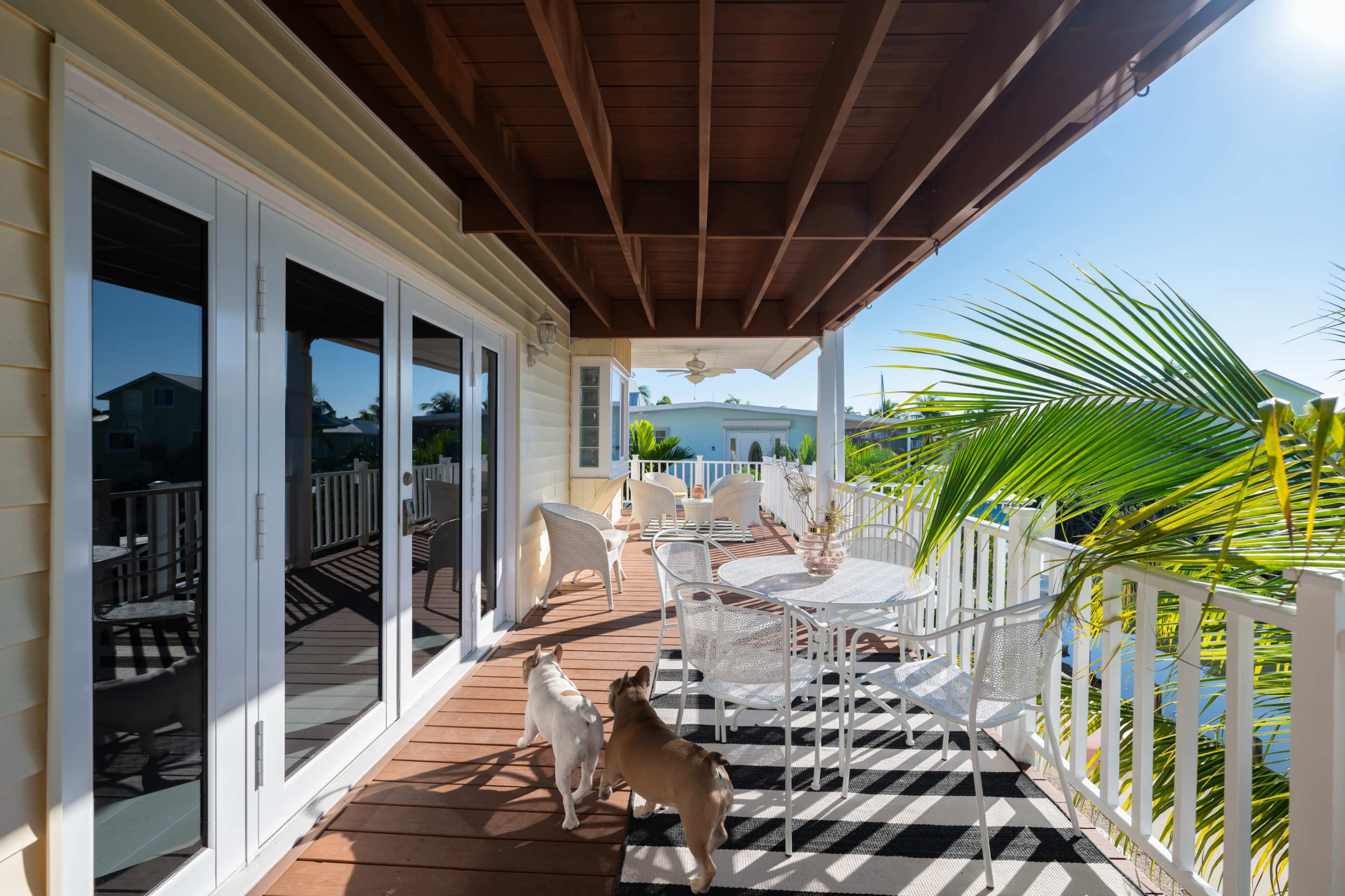 A spacious wooden deck features a dining table and chairs, with two dogs standing near the railing, surrounded by palm trees and a view of the water.
