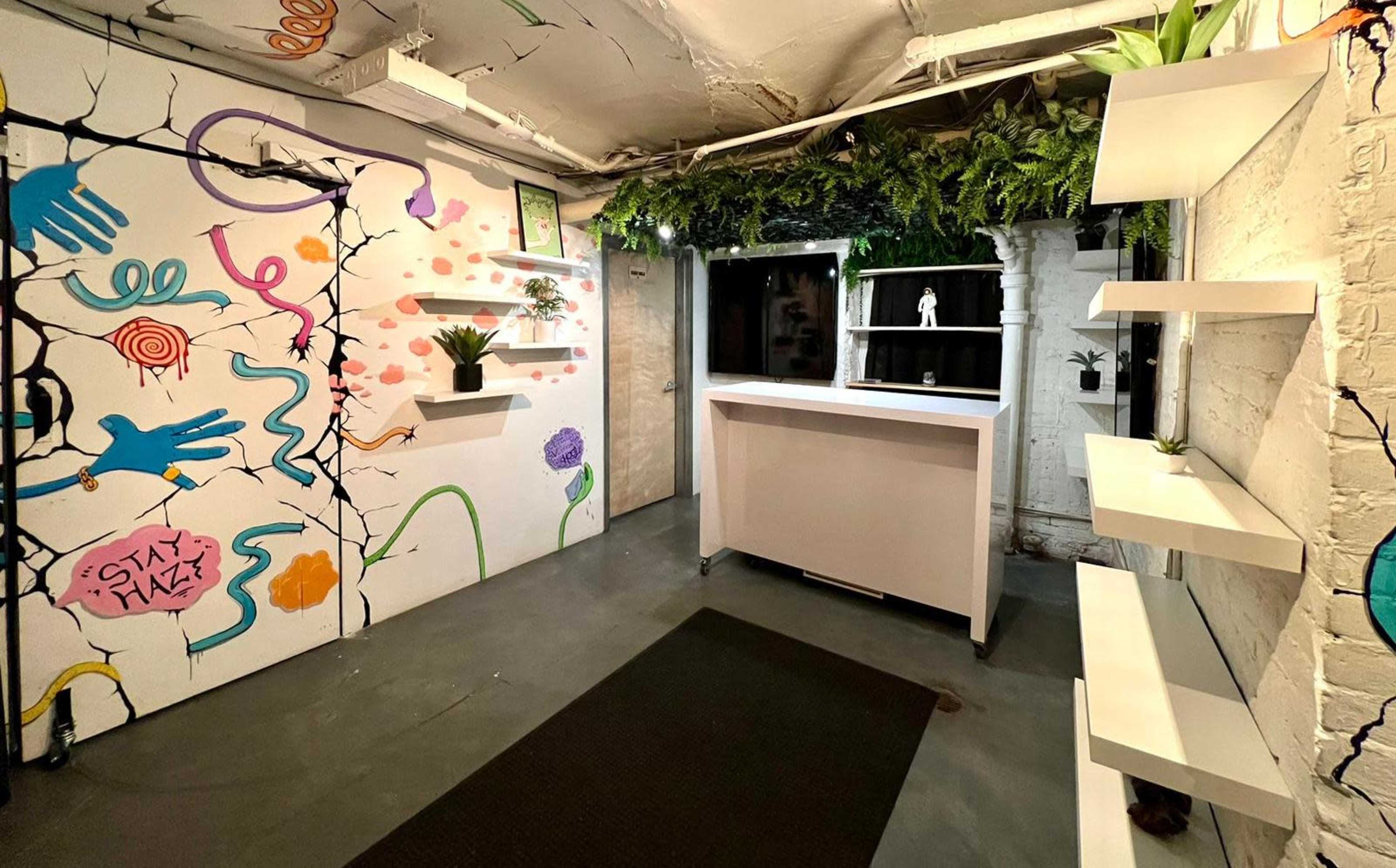 A modern, artistic room with colorful wall art, white shelving units, and a reception desk surrounded by greenery.
