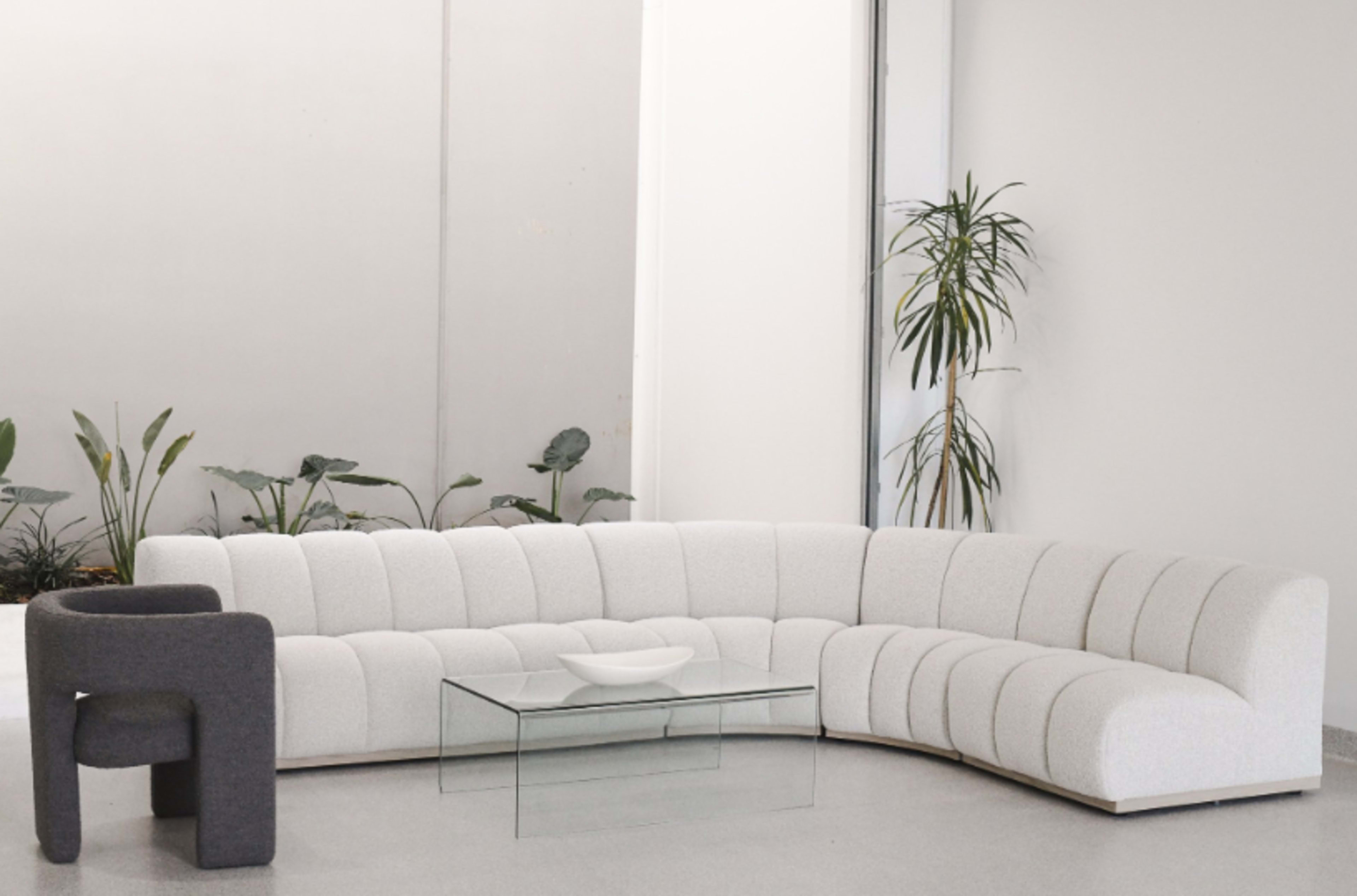 A curvy, light-colored sectional sofa with tufted upholstery is positioned next to a glass coffee table in a minimalist room with indoor plants.