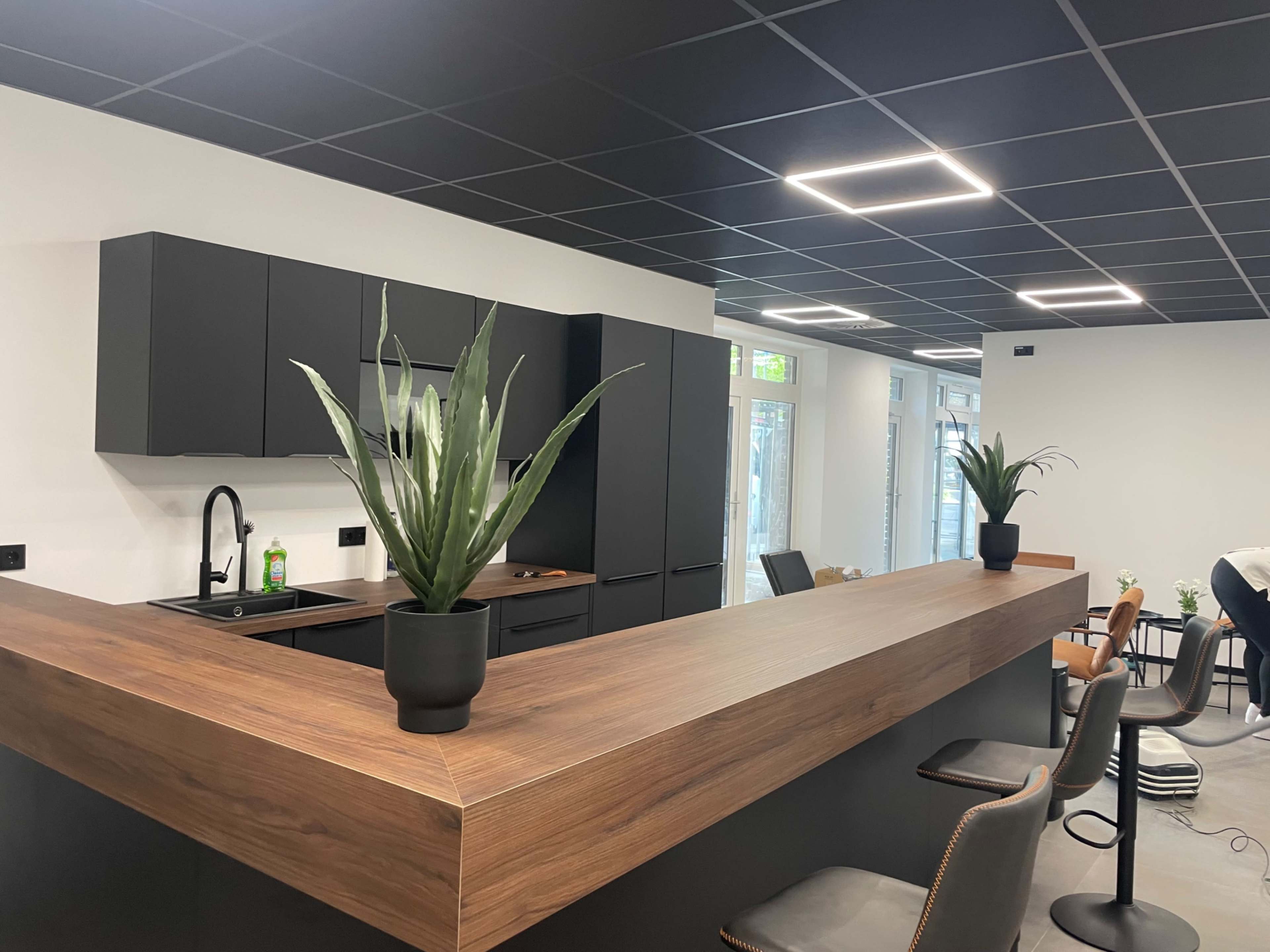 The image shows a modern kitchen with a wooden counter, black cabinets, and potted plants on the counter.