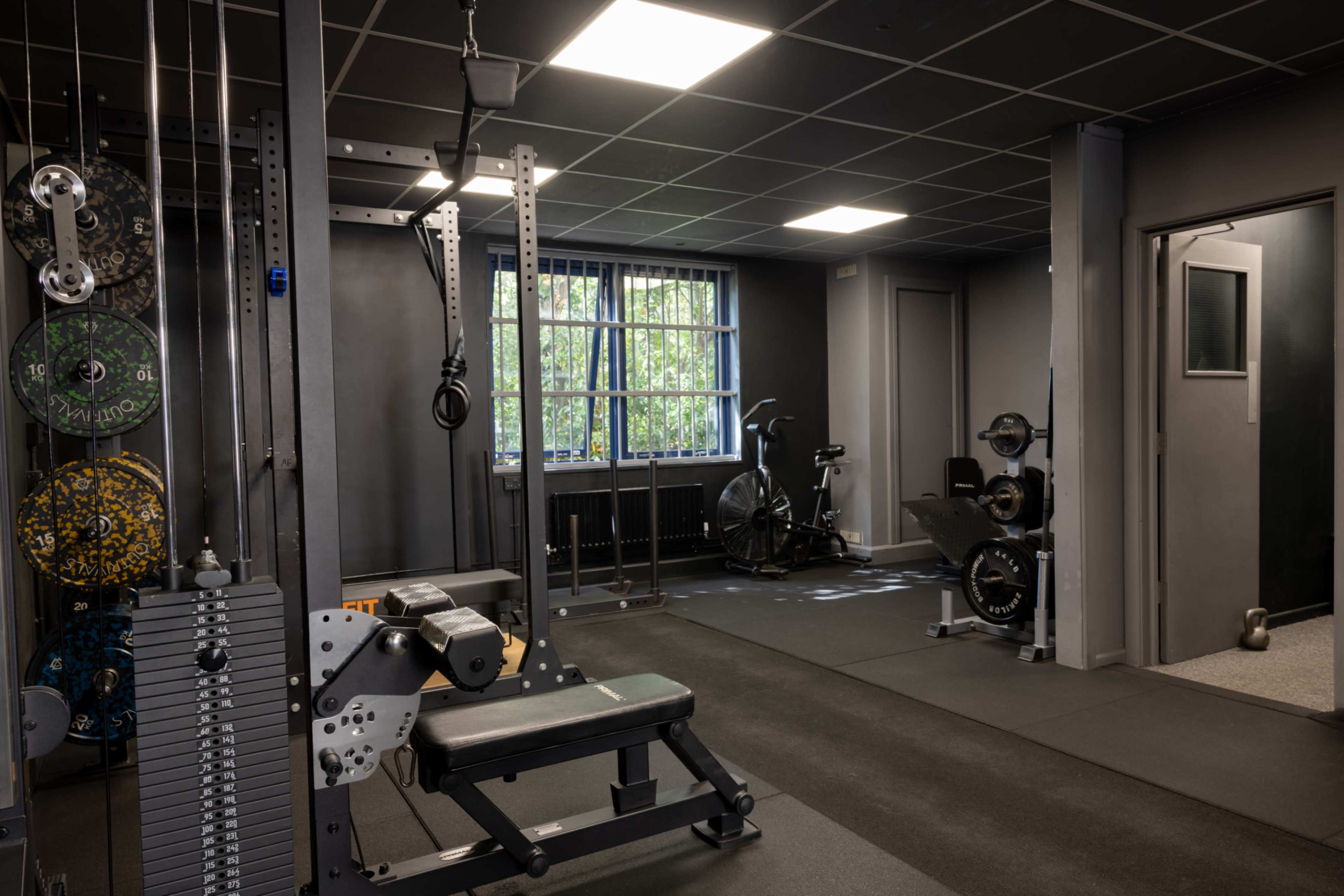 The image shows a modern gym interior with weightlifting equipment, exercise machines, and a large window allowing natural light.