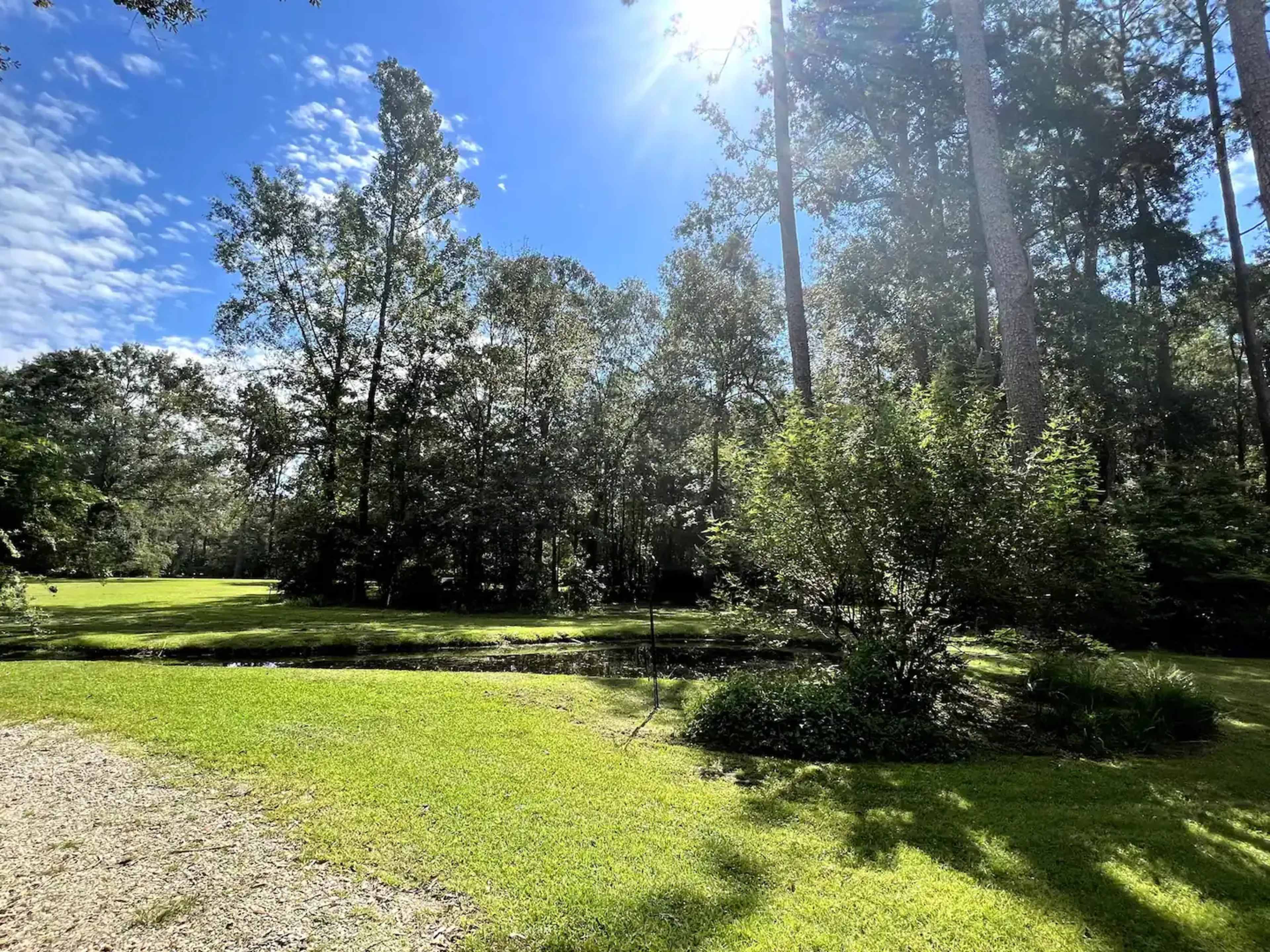 A sunlit landscape features a lush green lawn, a small pond, and tall trees under a blue sky with scattered clouds.