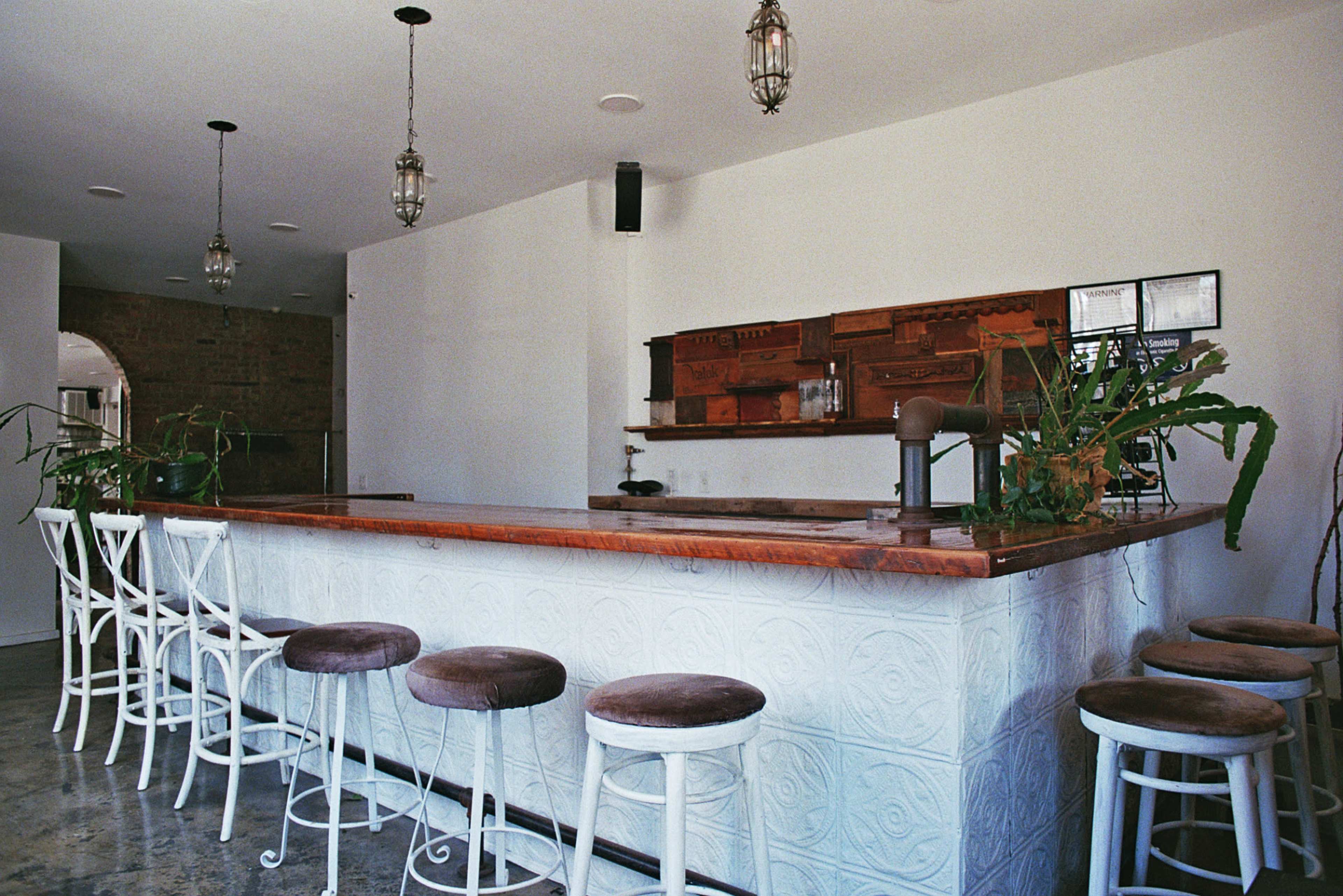 The image shows a minimalist bar with a wooden countertop, white stools, and some greenery on display.