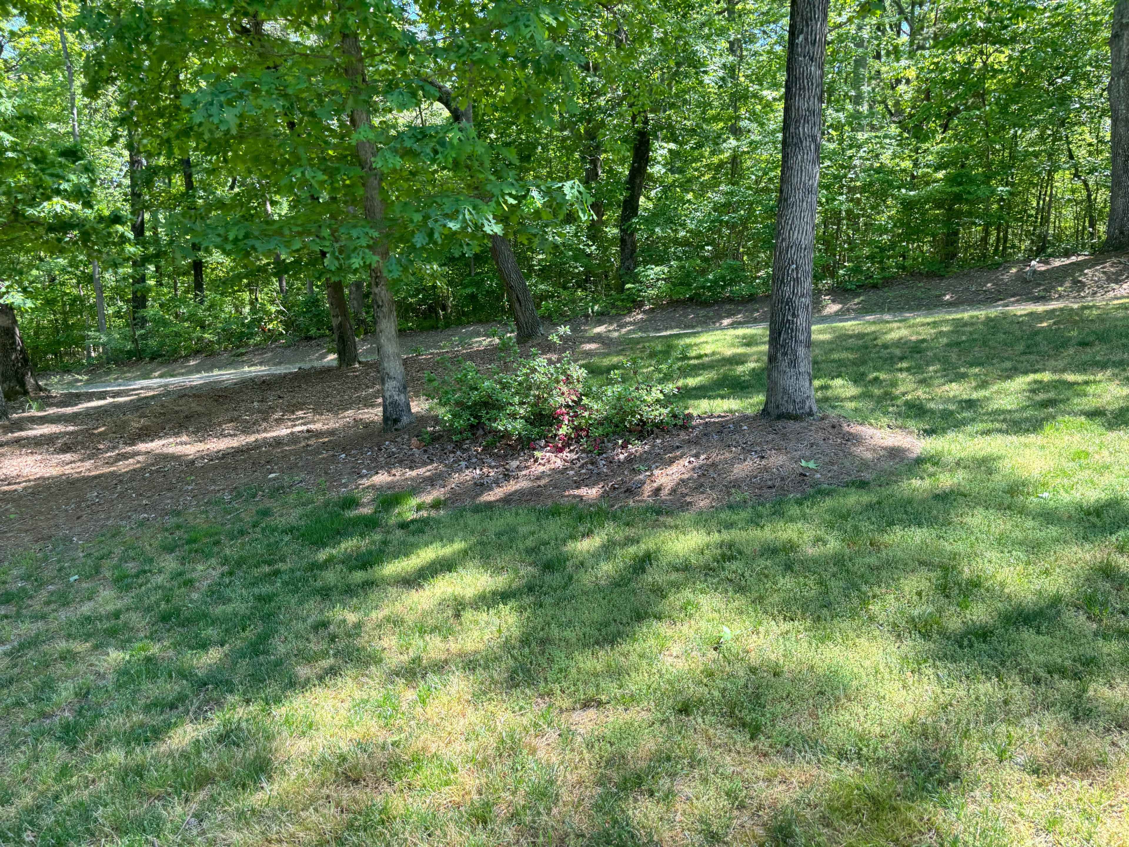 Elysian Oasis: Versatile Estate for Corporate Retreats, Events, and Gatherings Image in , Climax, NC
