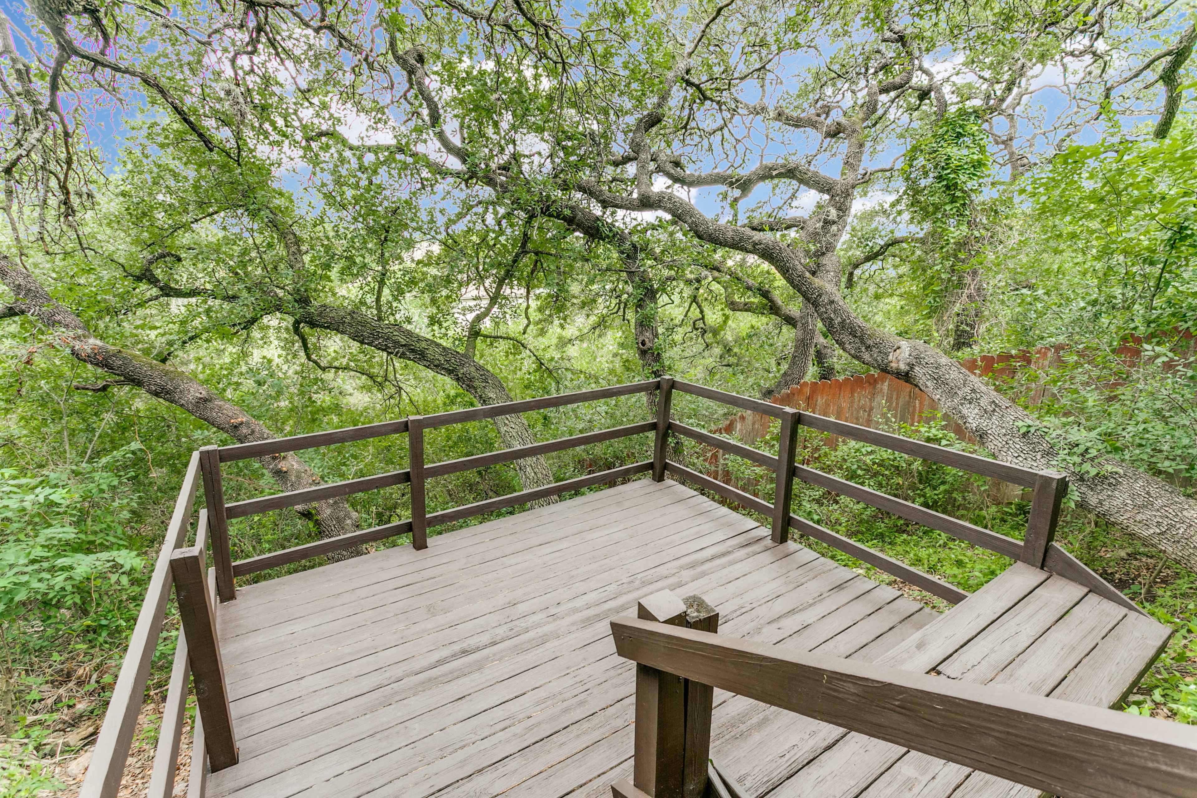A wooden deck is surrounded by dense green foliage and large trees.