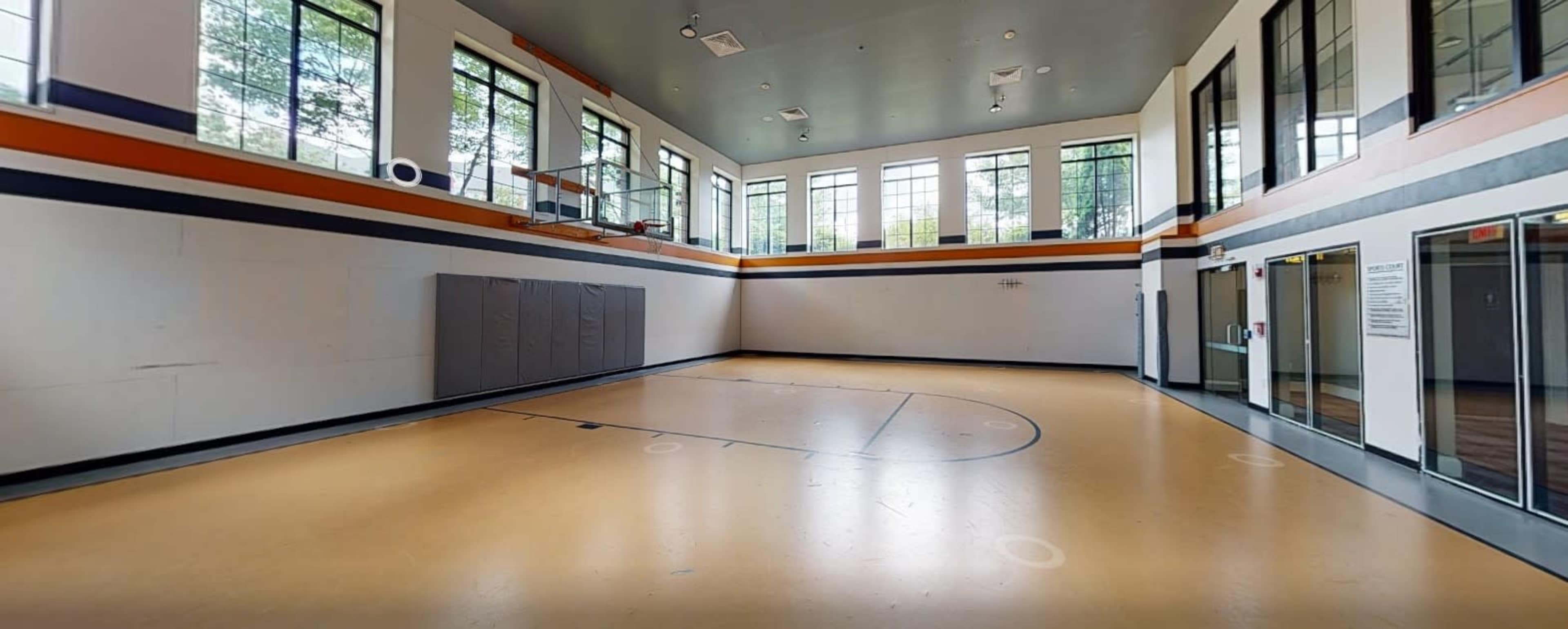Basketball Court - Half Sized in Danvers Image in Danvers, Danvers, MA