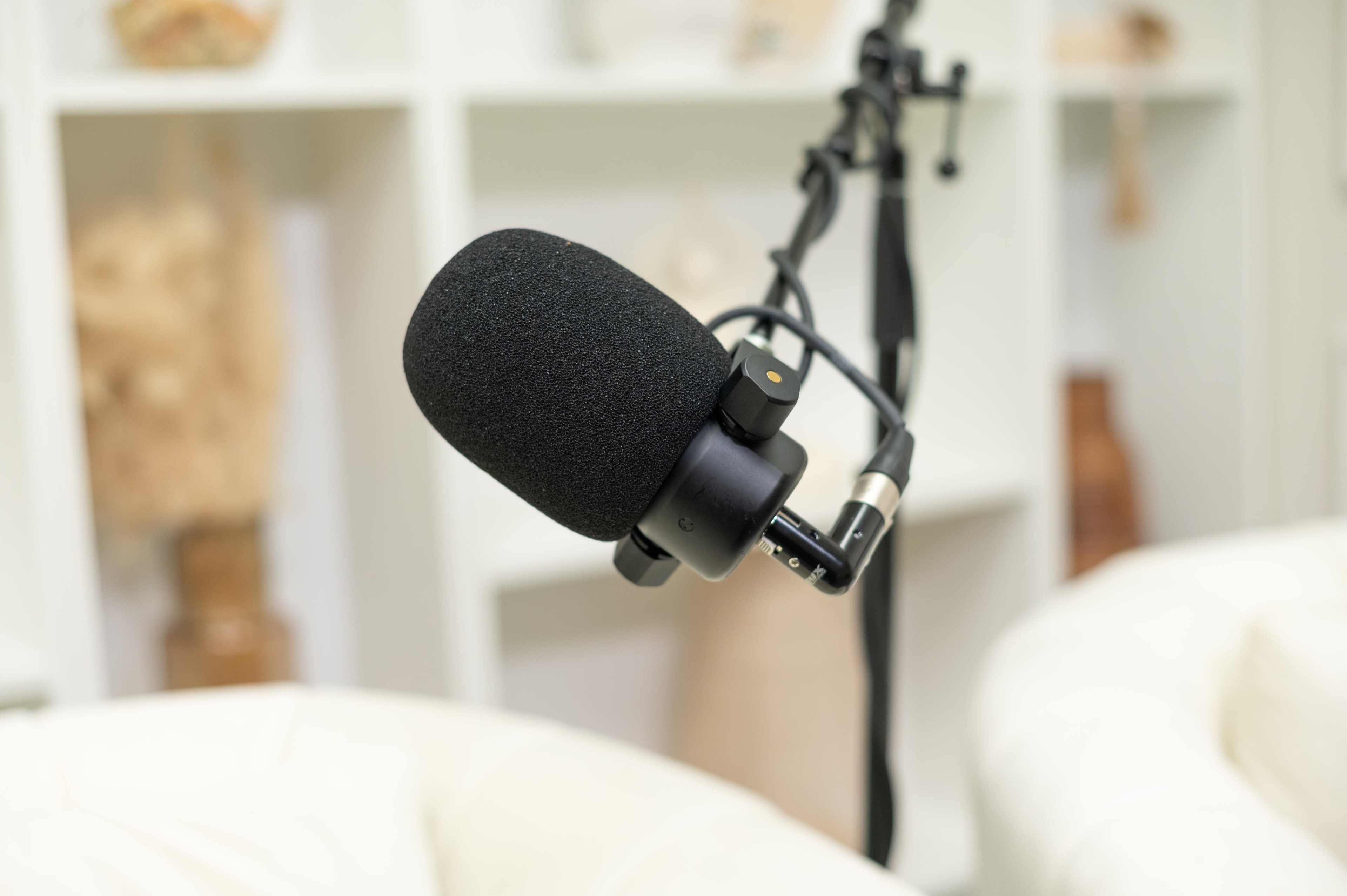 A black microphone is positioned on a stand in front of a blurred background of shelves and decor.