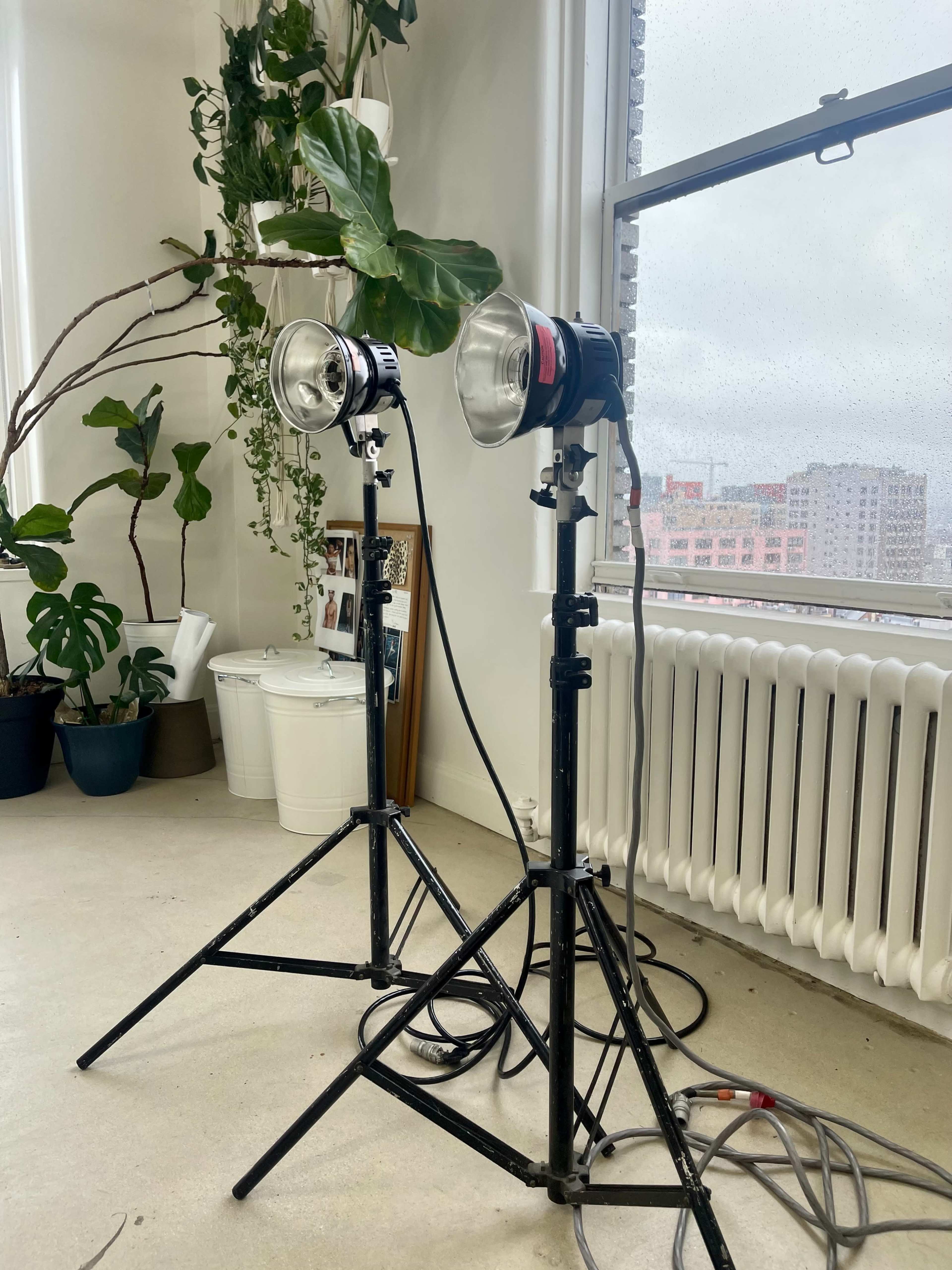 Two studio lights on tripods are positioned near a window in a room with plants and a radiator.