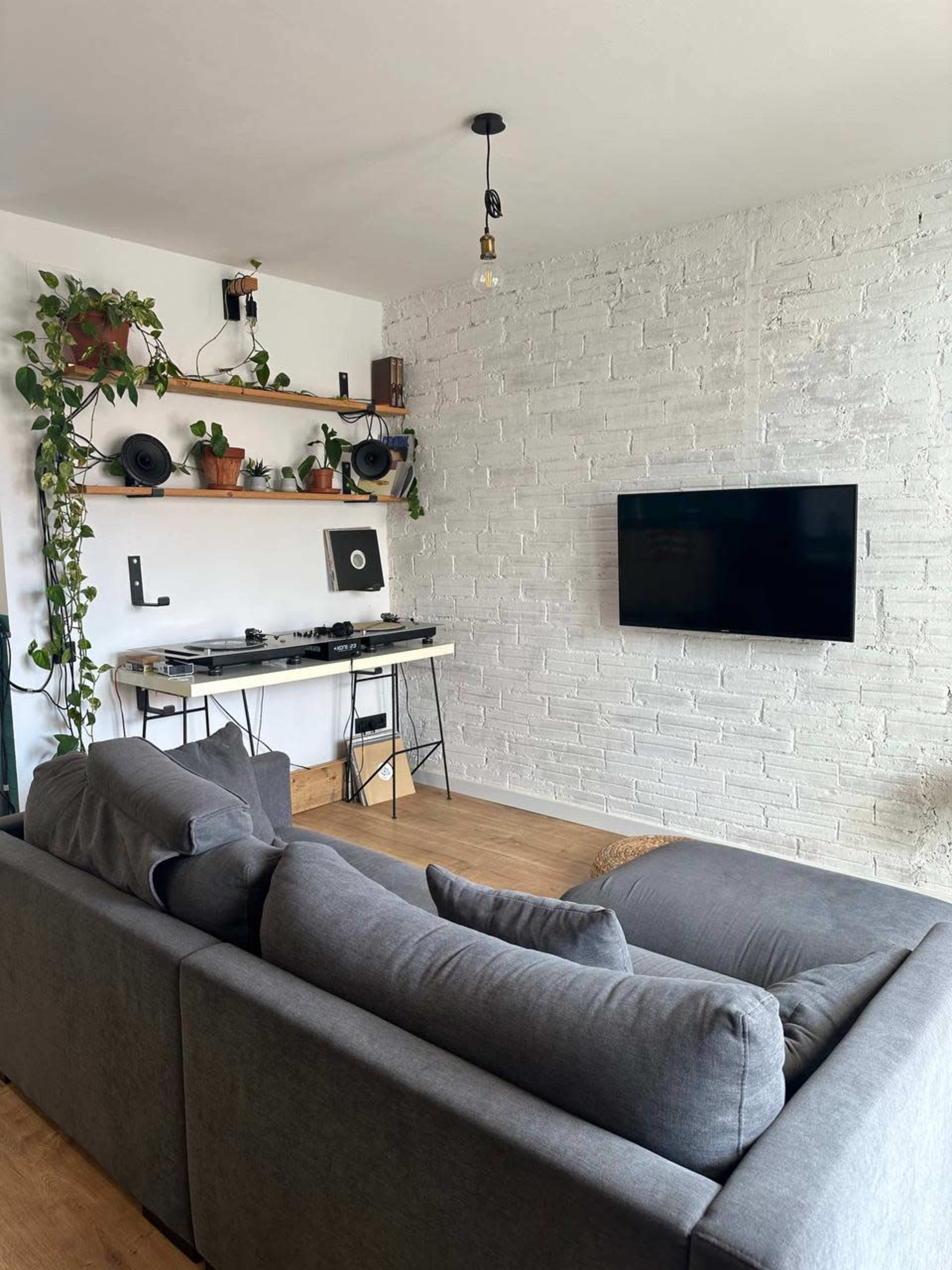 A modern living room with a gray sofa, a wall-mounted TV, and a console table featuring speakers and plants.