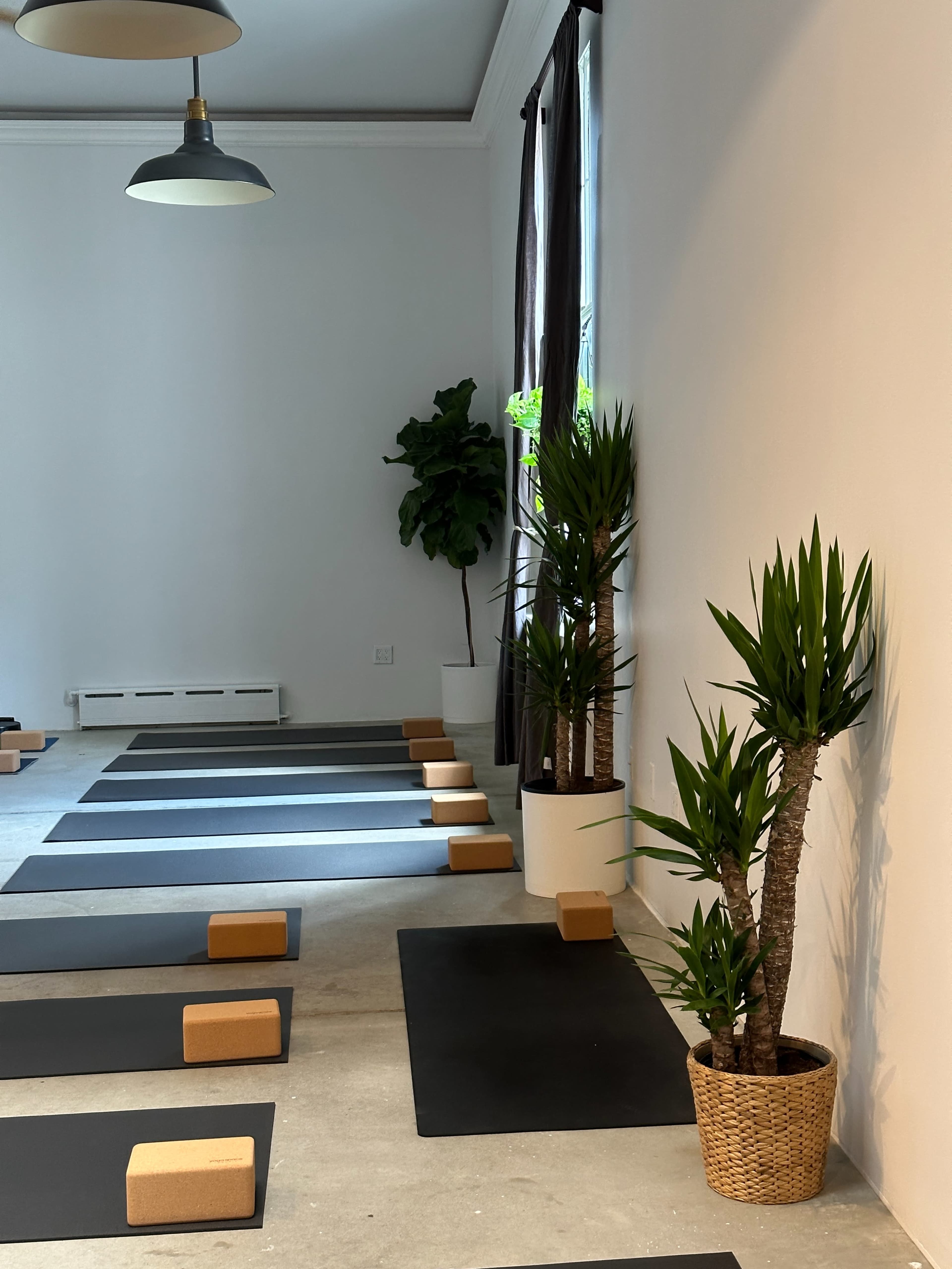 A minimalist yoga studio with black mats arranged neatly on the floor, surrounded by potted plants and yoga blocks.