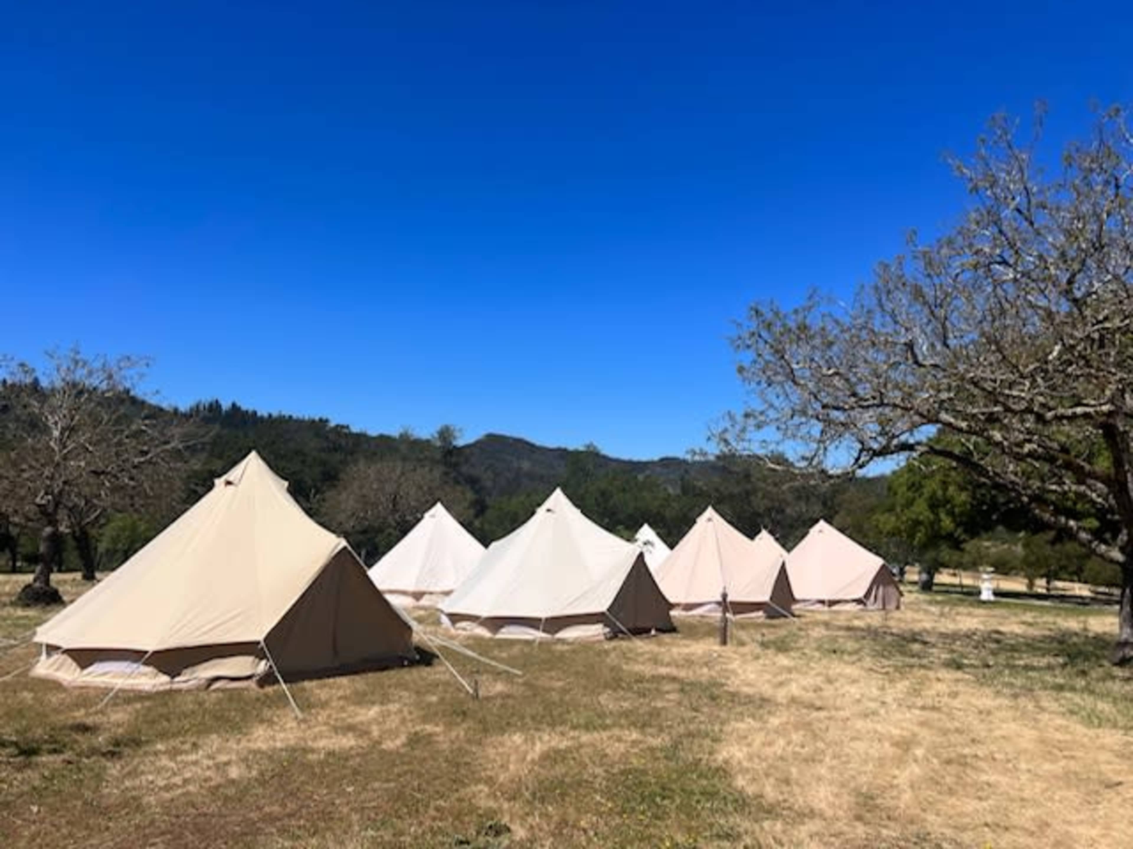 Stunning 87- Acre Ranch Ideal for Photoshoots, Video Shoots and Events. Image in , Tollhouse, CA