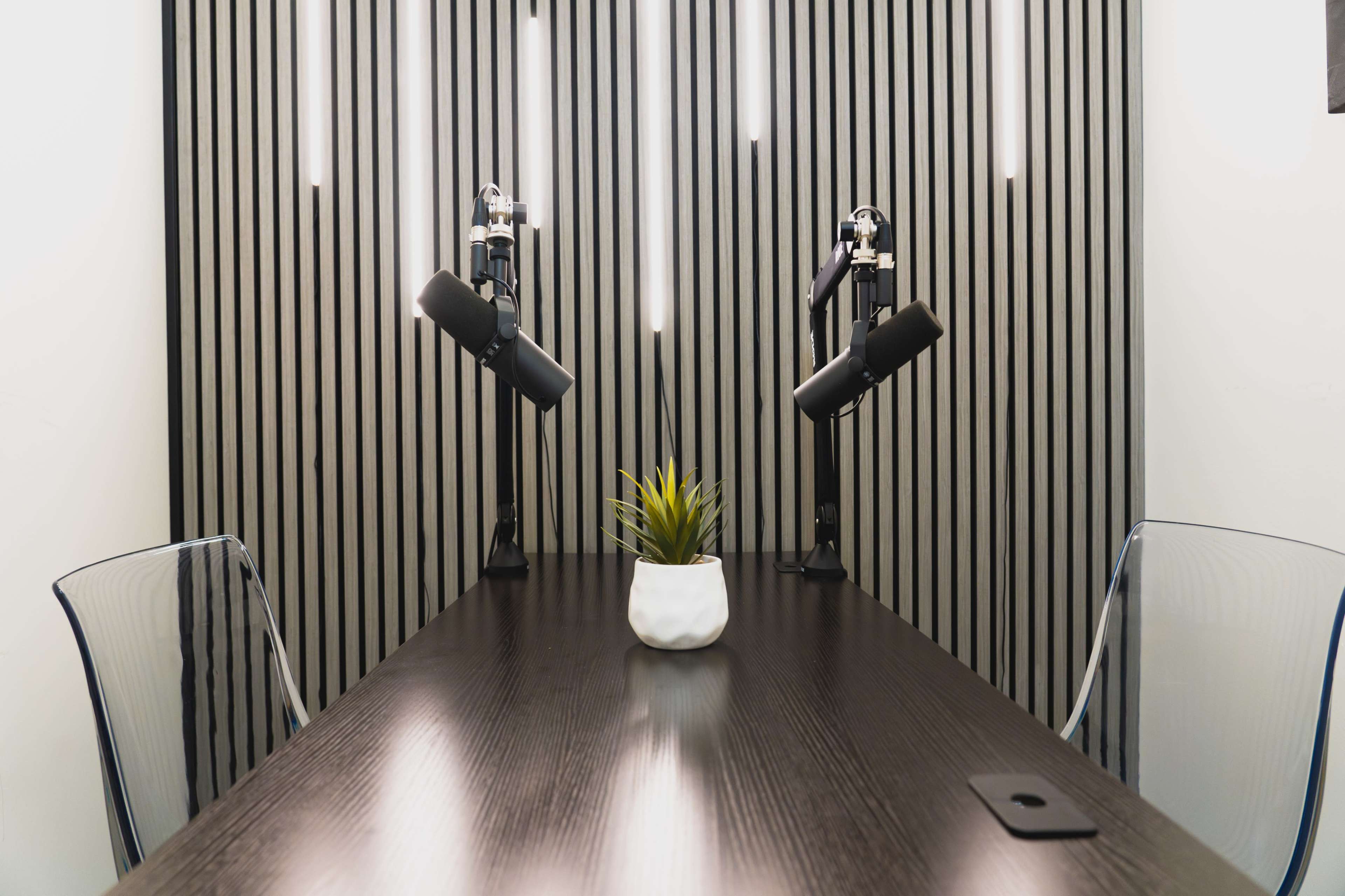 The image shows a modern conference room setup with a dark wooden table, two microphones on adjustable stands, and a small potted plant in the center, all against a backdrop of vertical striped walls.