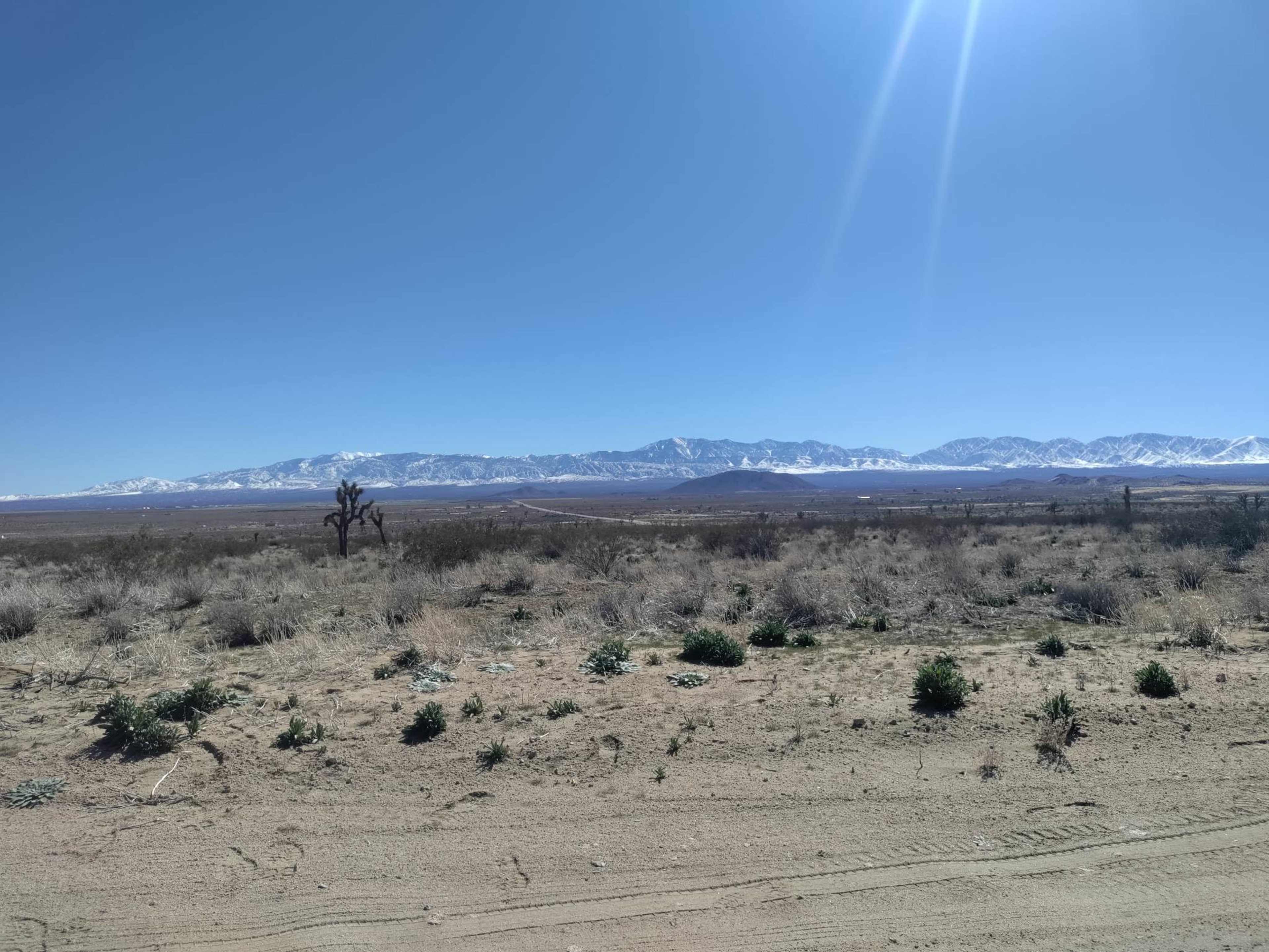 A clear desert landscape features sparse vegetation, with a distant mountain range under a bright blue sky.