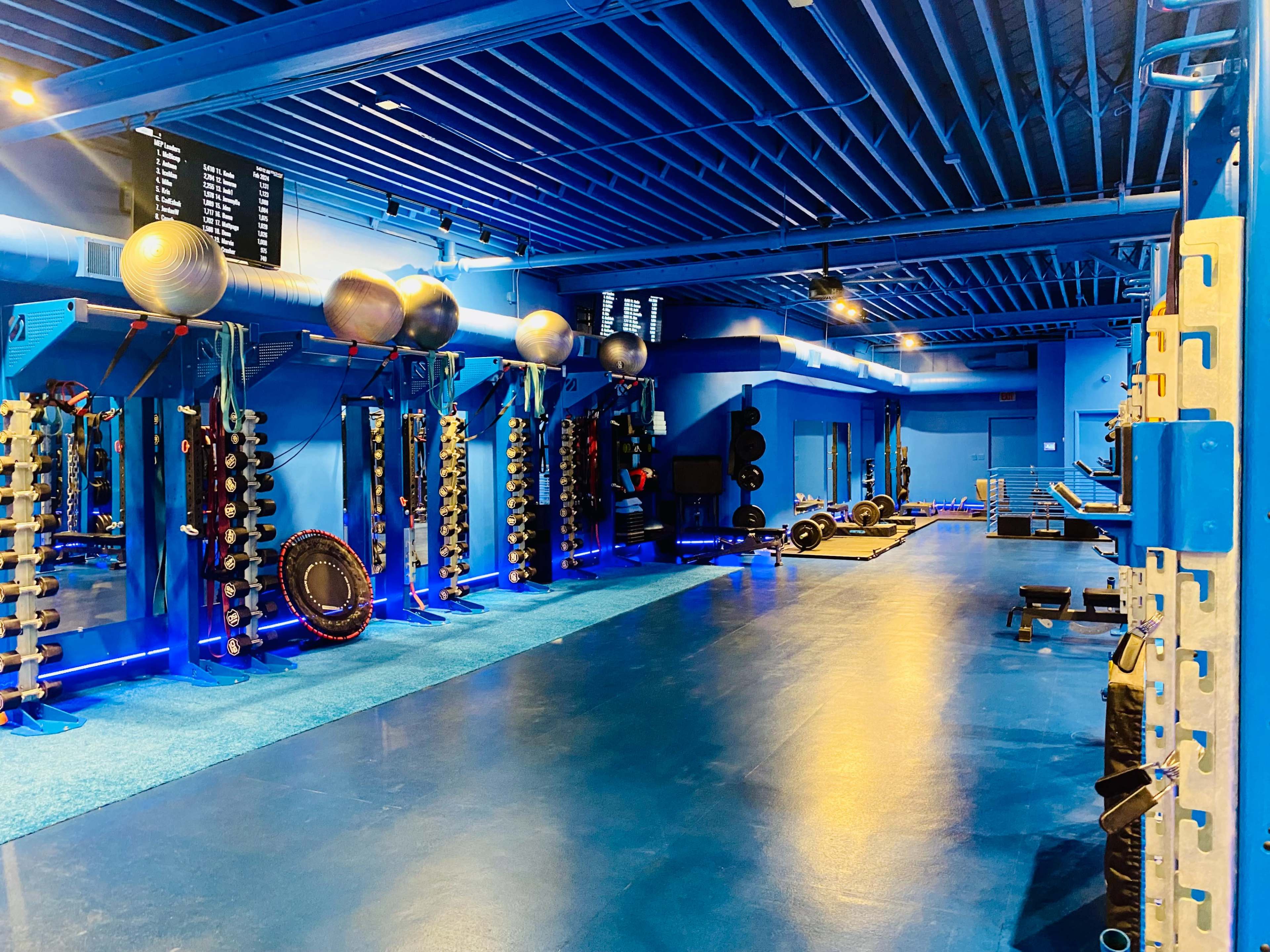 Premier Fitness/Dance/Boxing/ Massage Studio Image in Lake View, Chicago, IL