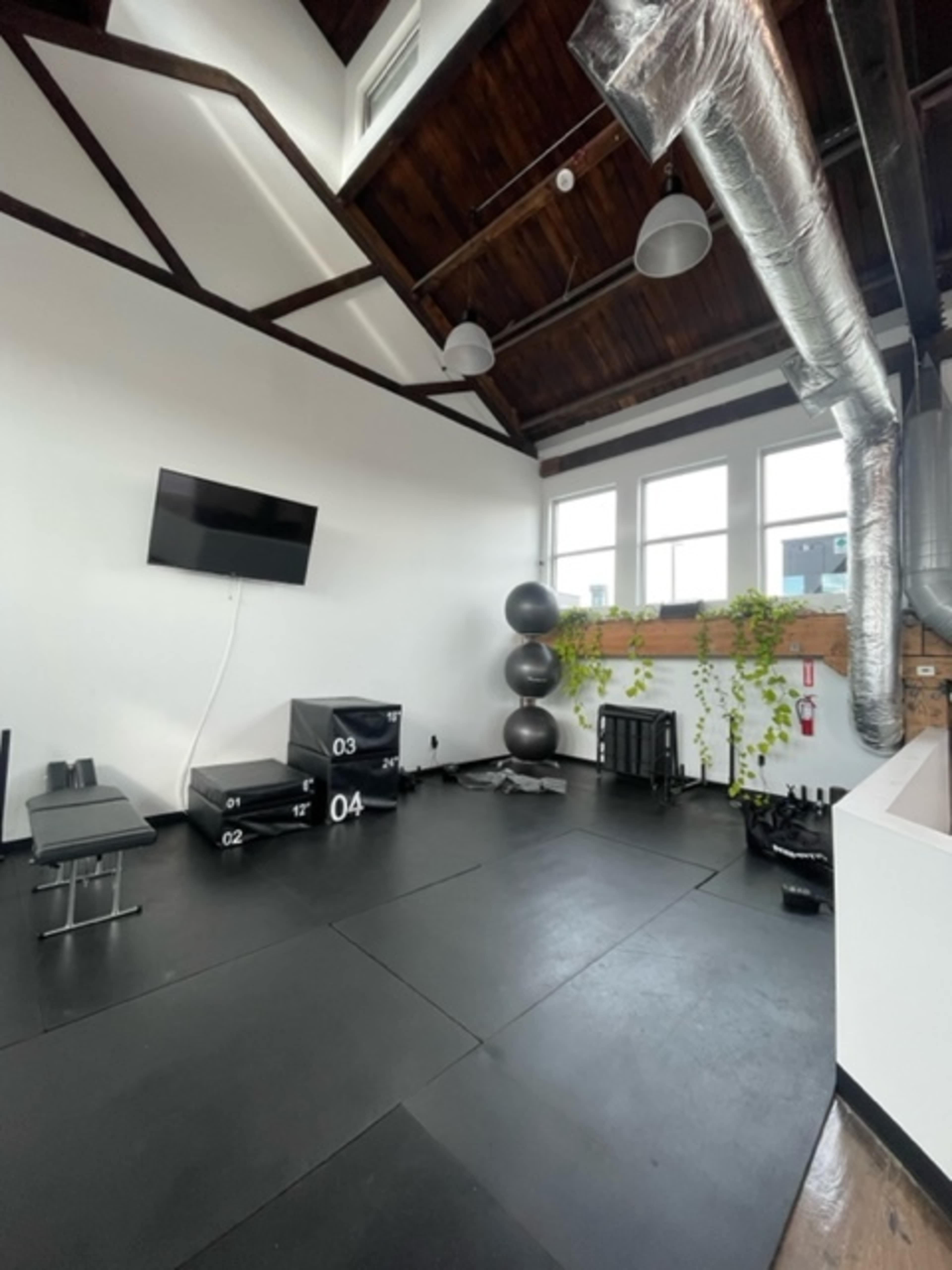 The image shows a workout space with black rubber flooring, a wall-mounted television, a weight bench, and various fitness equipment, including exercise boxes and a large stability ball.