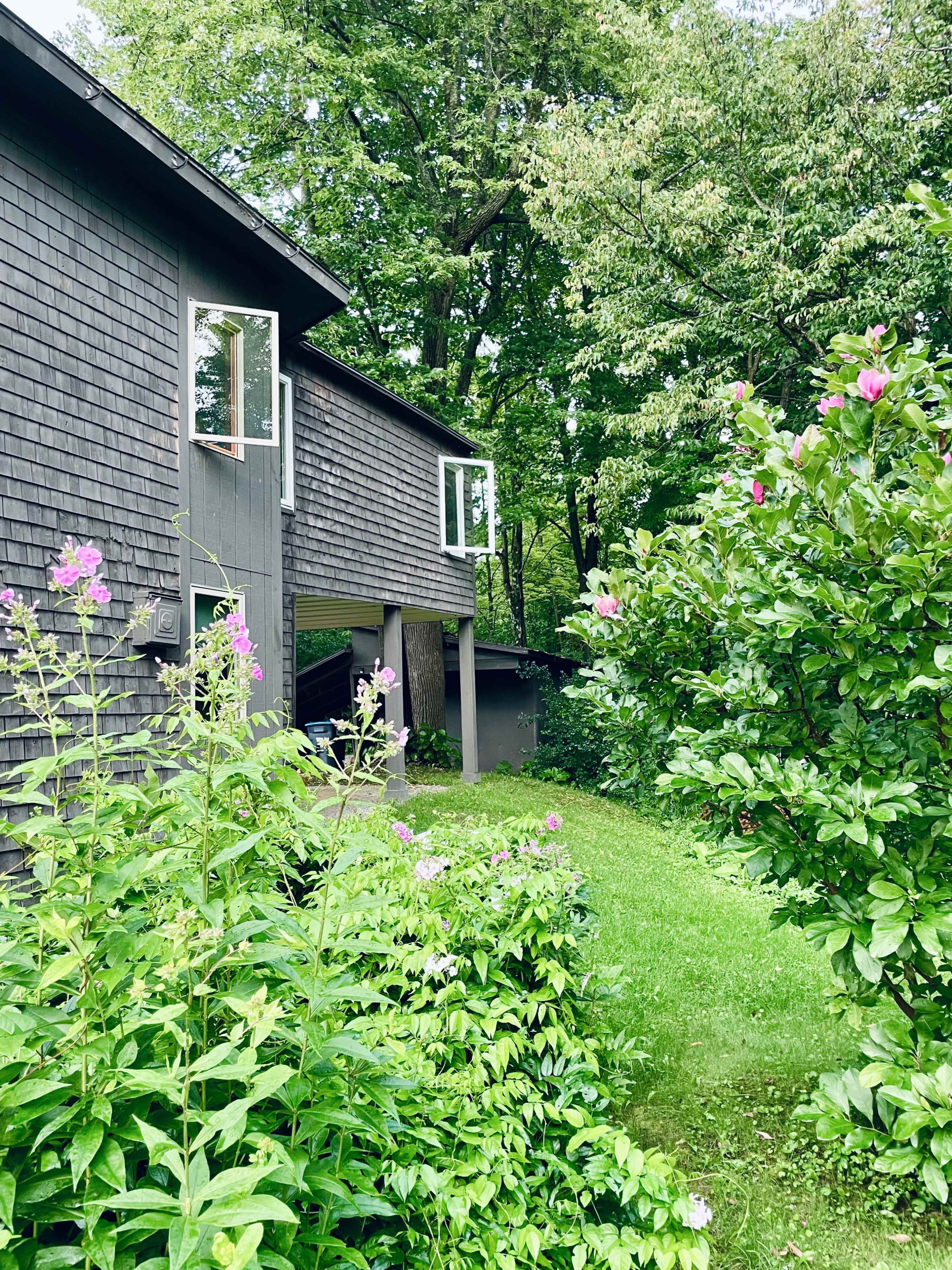 A modern house with dark wooden siding is partially surrounded by lush green shrubs and flowering plants, with open windows that overlook the yard.