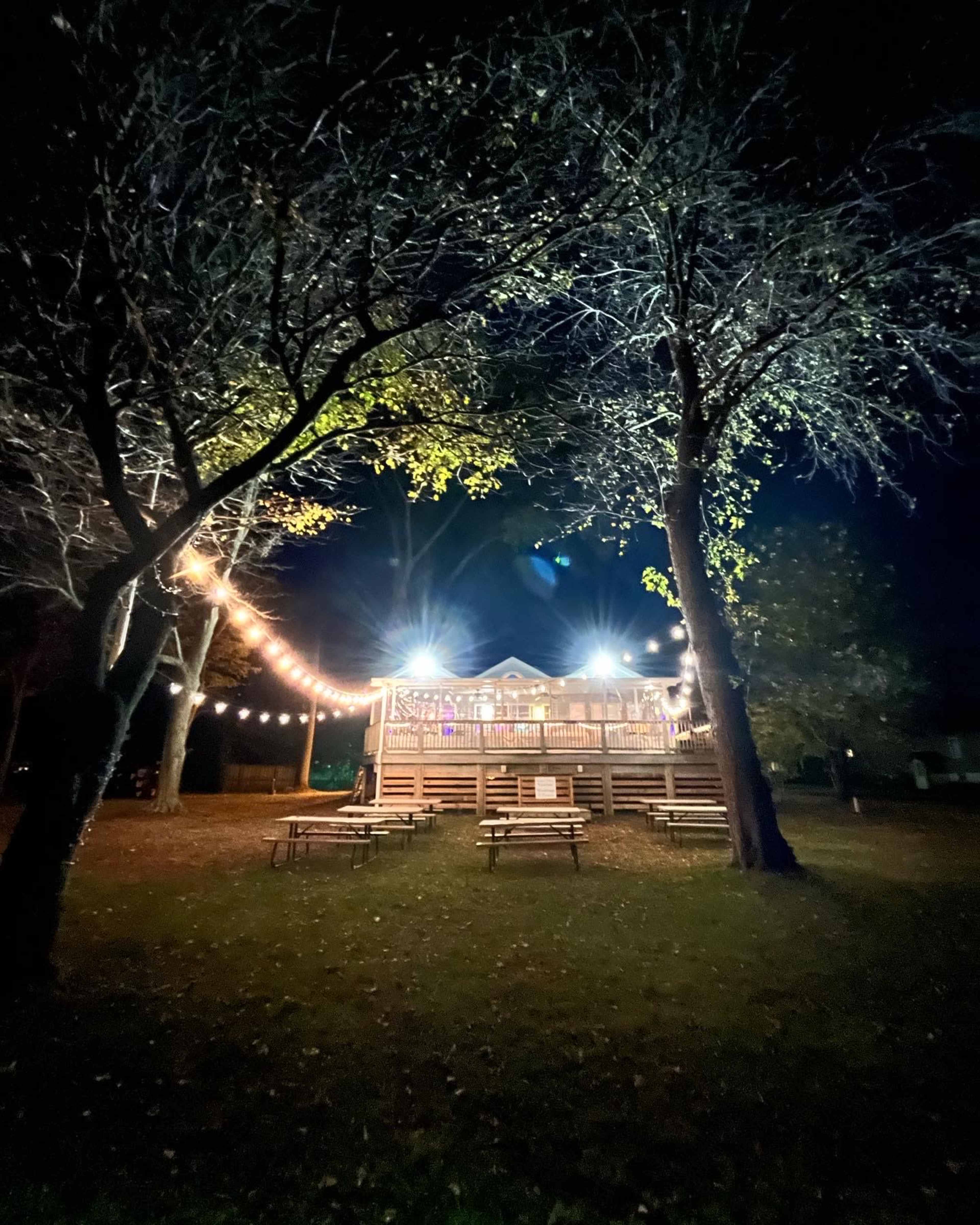 A wooden deck illuminated by string lights, surrounded by trees in a nighttime setting.