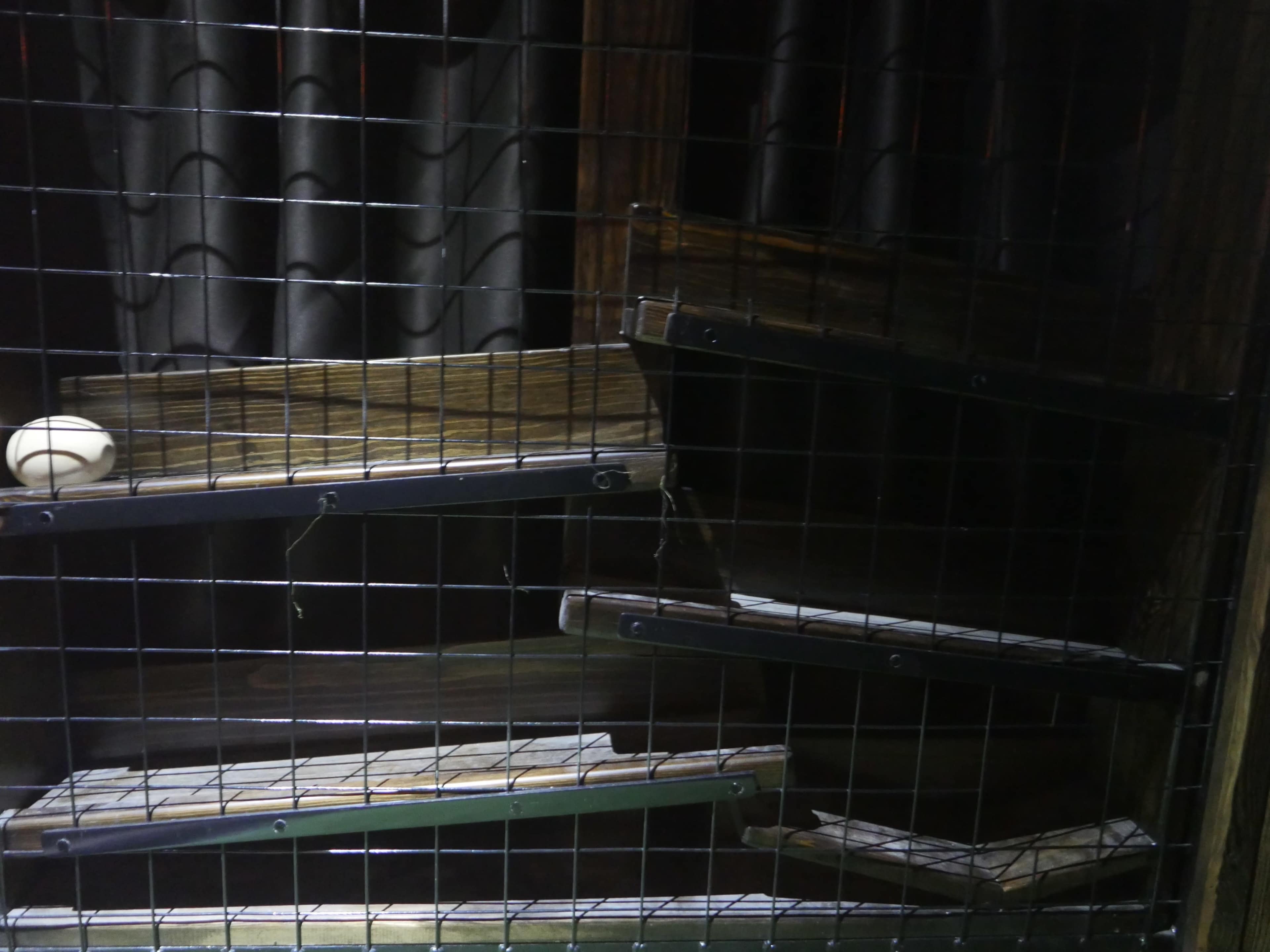 The image shows a metal wire cage containing several stacked wooden shelves with a white ball resting on one of them.