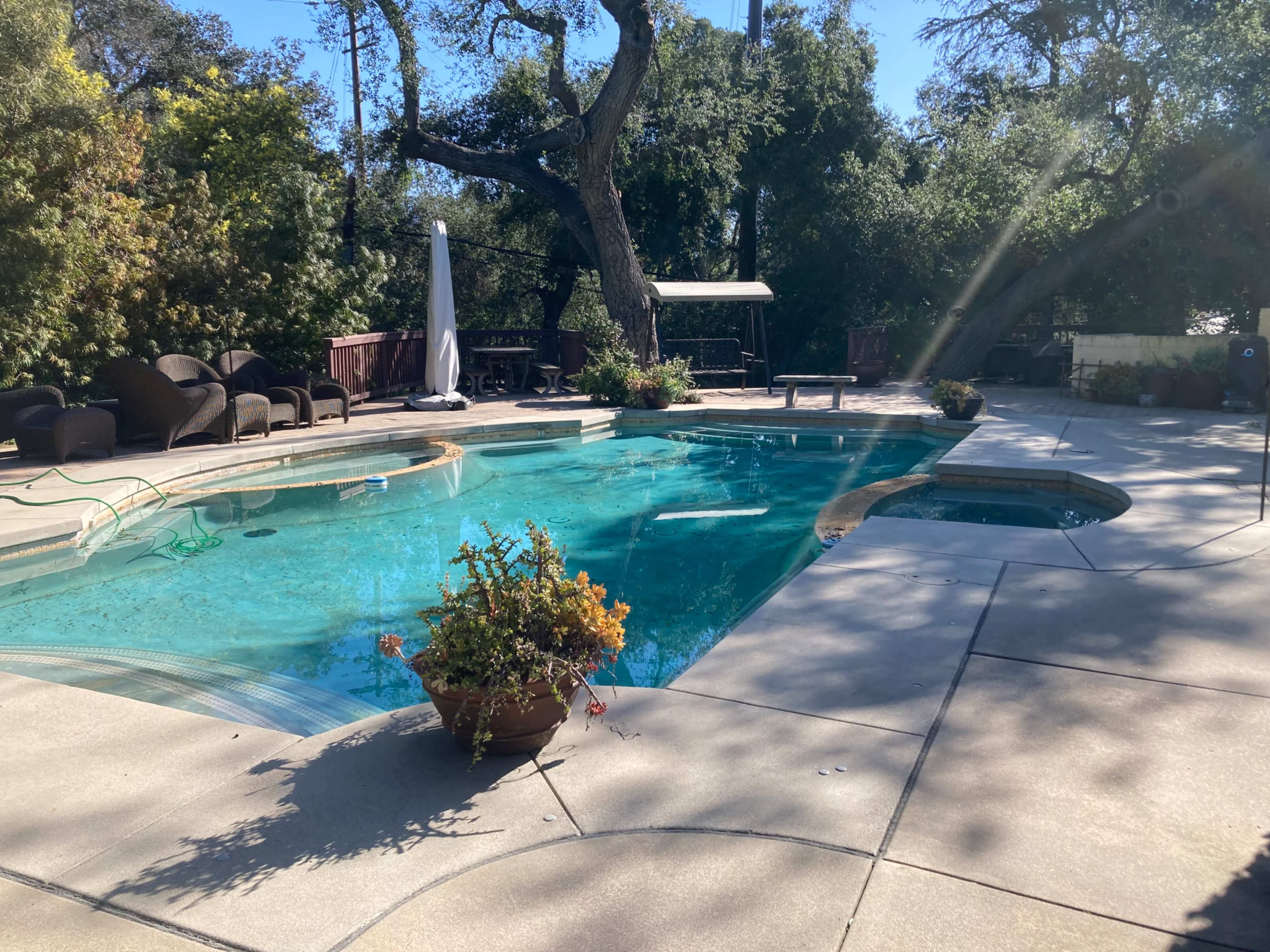 The image shows a swimming pool surrounded by patio furniture and lush green trees in a sunny outdoor setting.