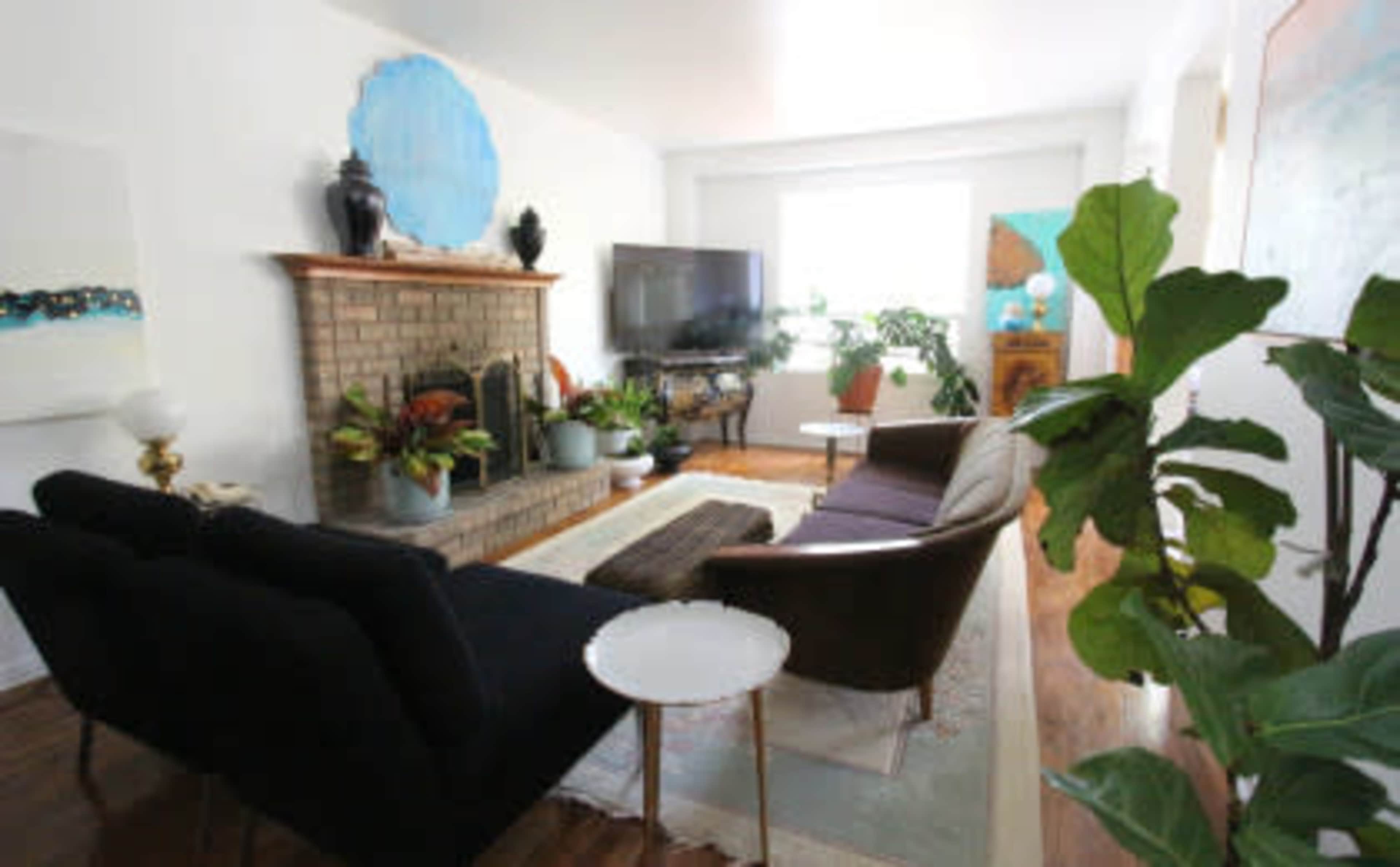 A living room features a fireplace with plants, a television on a stand, and two sofas arranged on a rug.