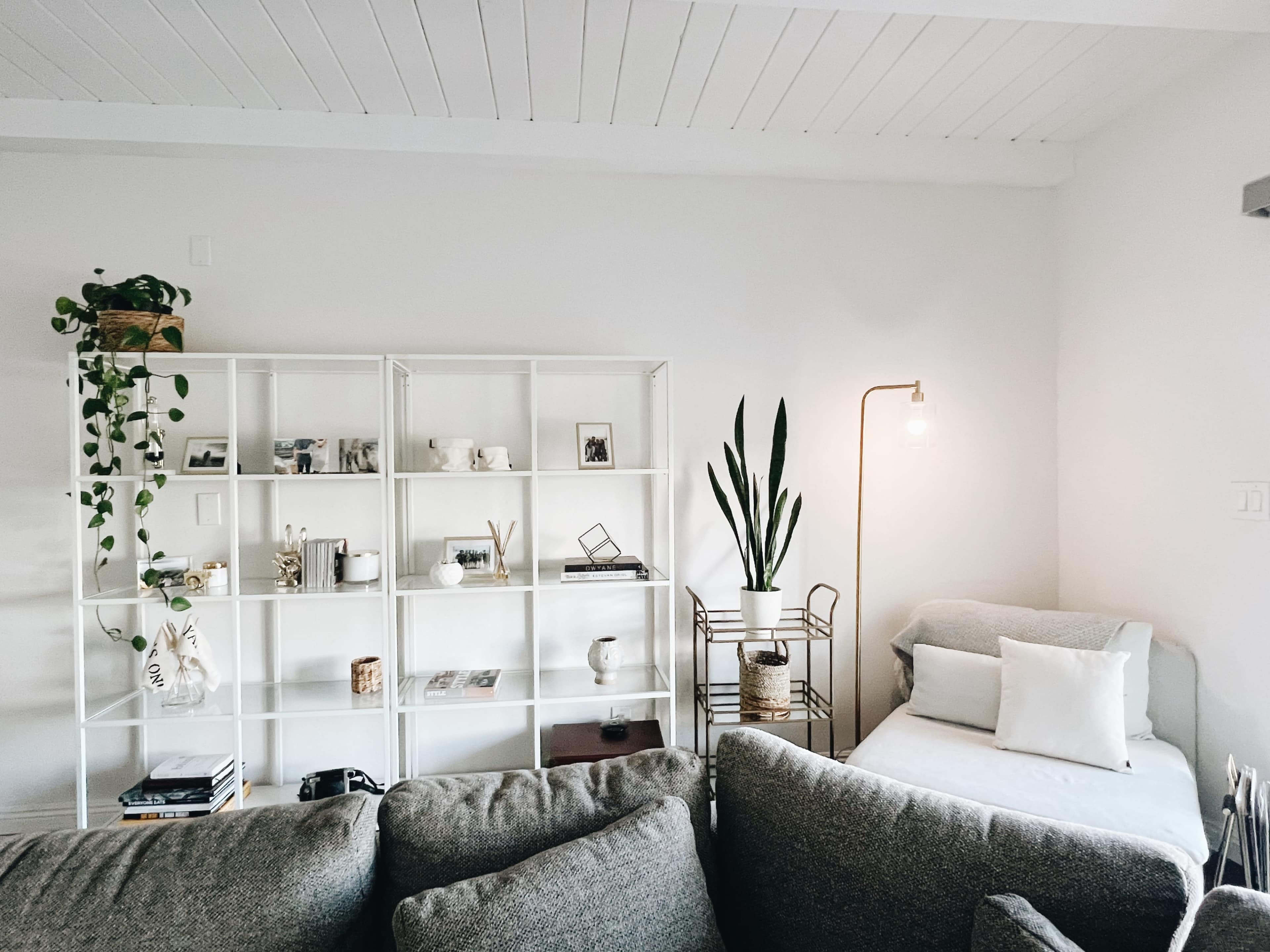 A bright living room features a white bookshelf filled with decor, a nearby potted plant, and a cozy seating area with a light-colored chair and throw pillows.