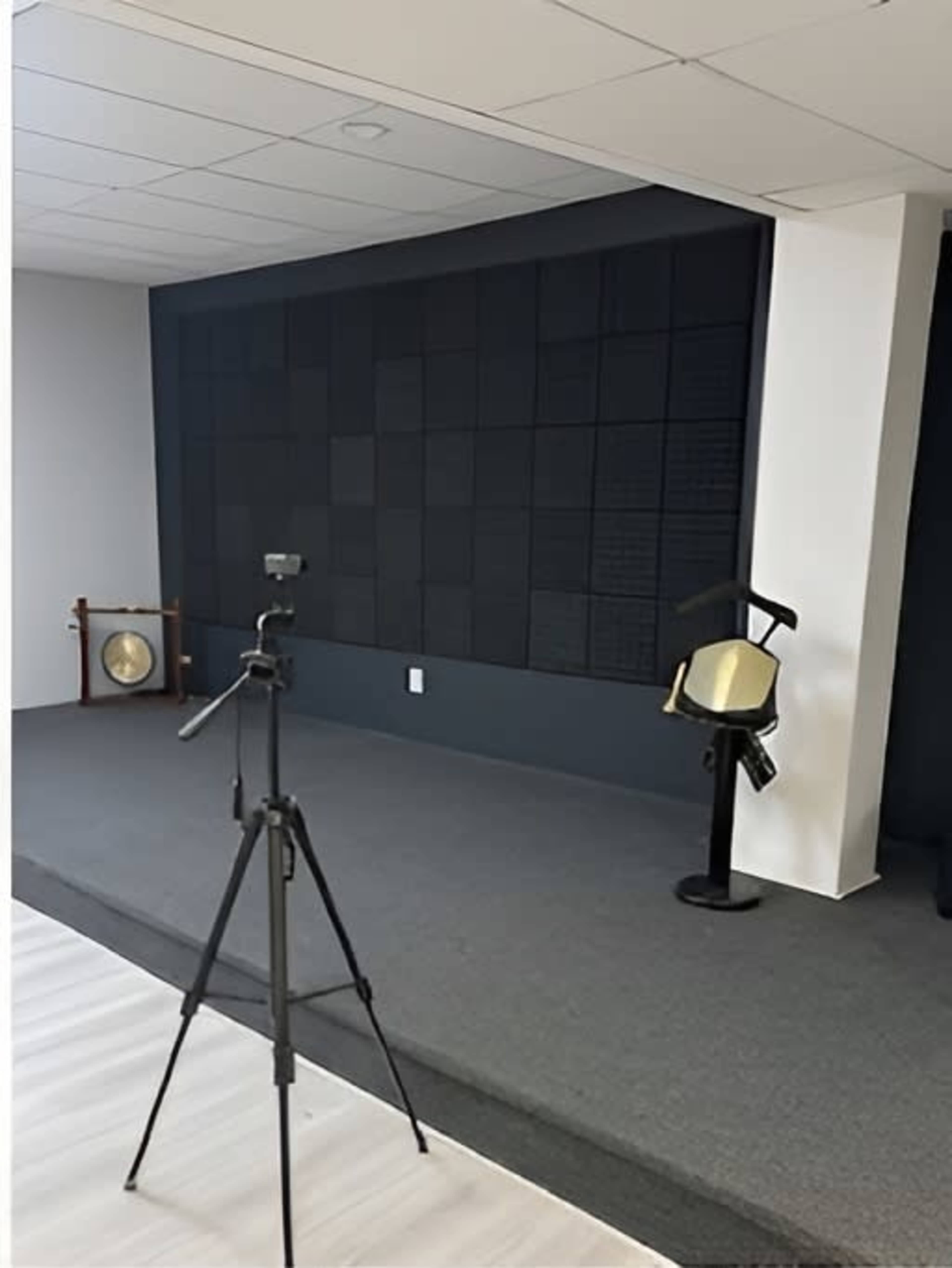 The image shows a spacious room with a gray carpet, a black textured wall, a microphone on a tripod, and two gongs positioned on the floor.