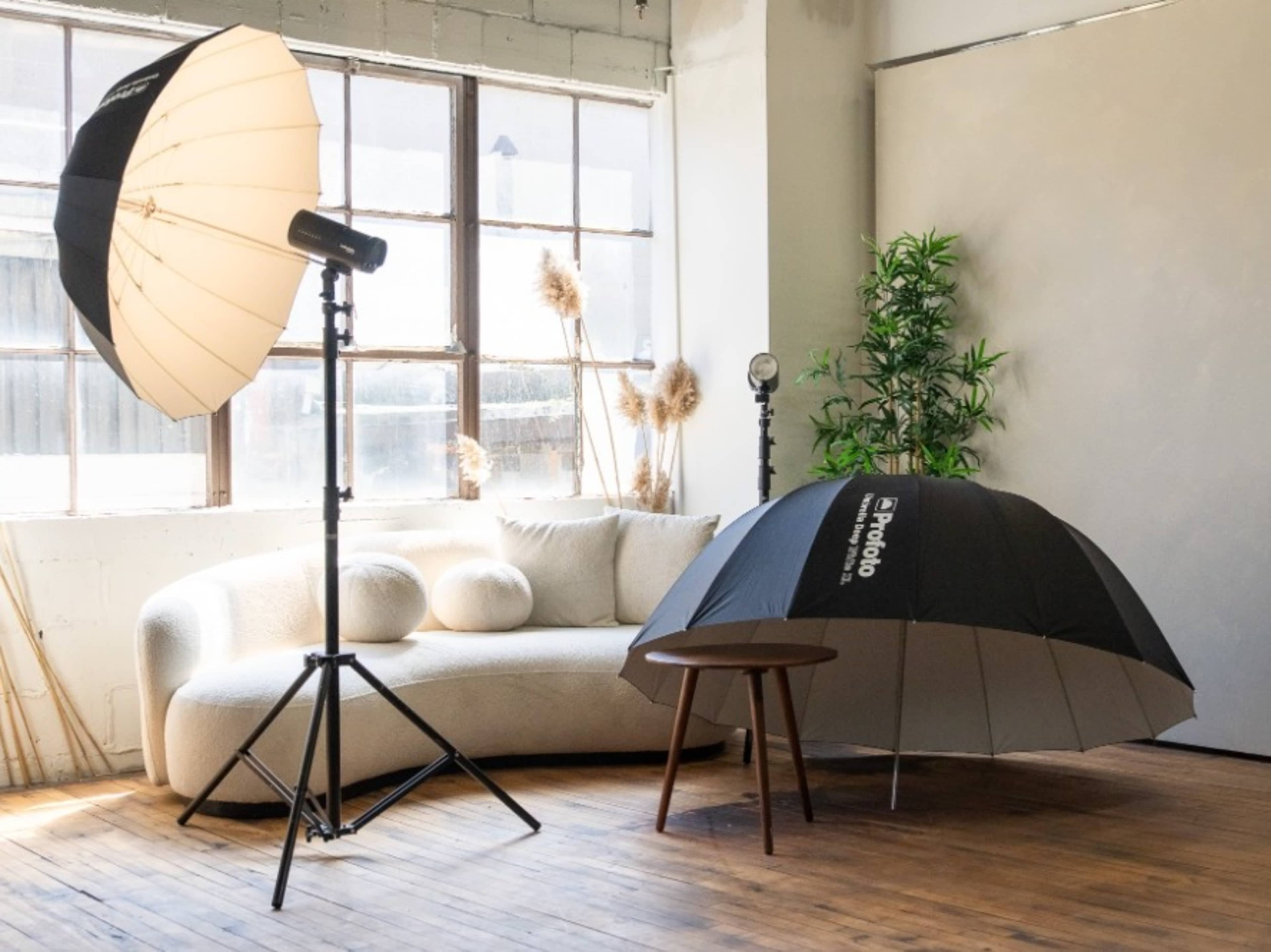 Profoto light Kit