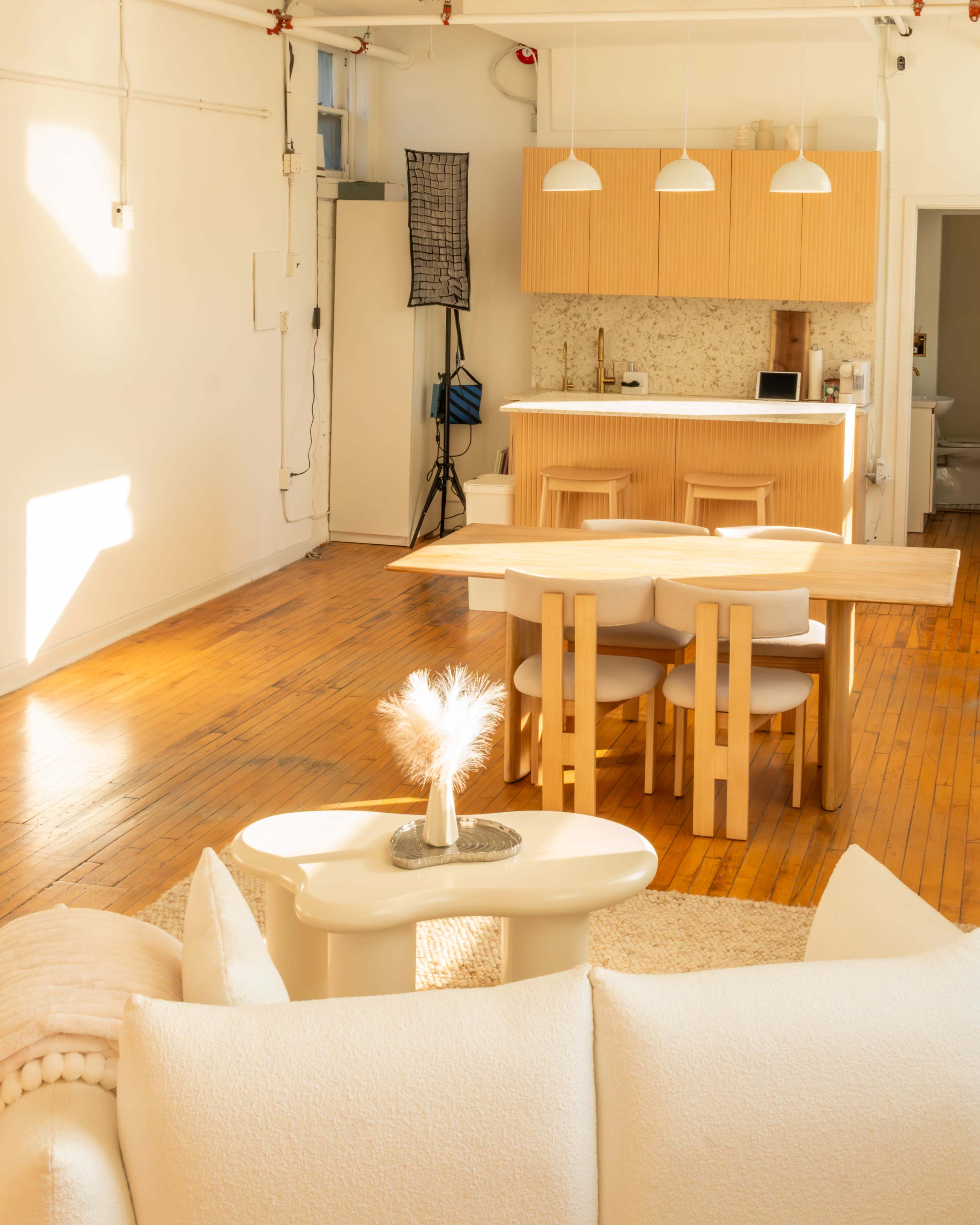 Natural Light Creative Studio Near MOCA Image in Dufferin Grove, Toronto, ON
