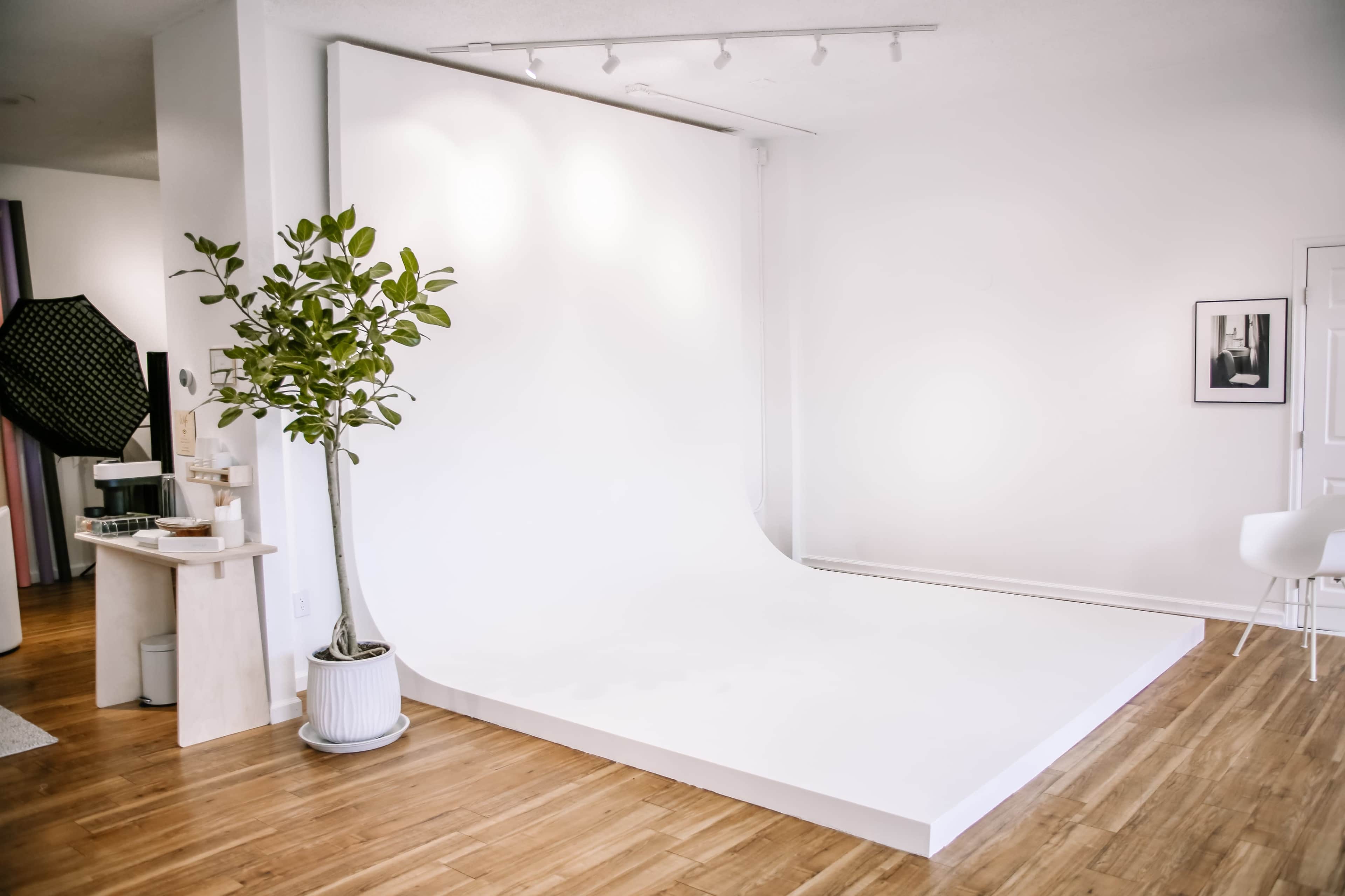 The image shows a minimalist studio with a large white backdrop and a potted plant in a corner.