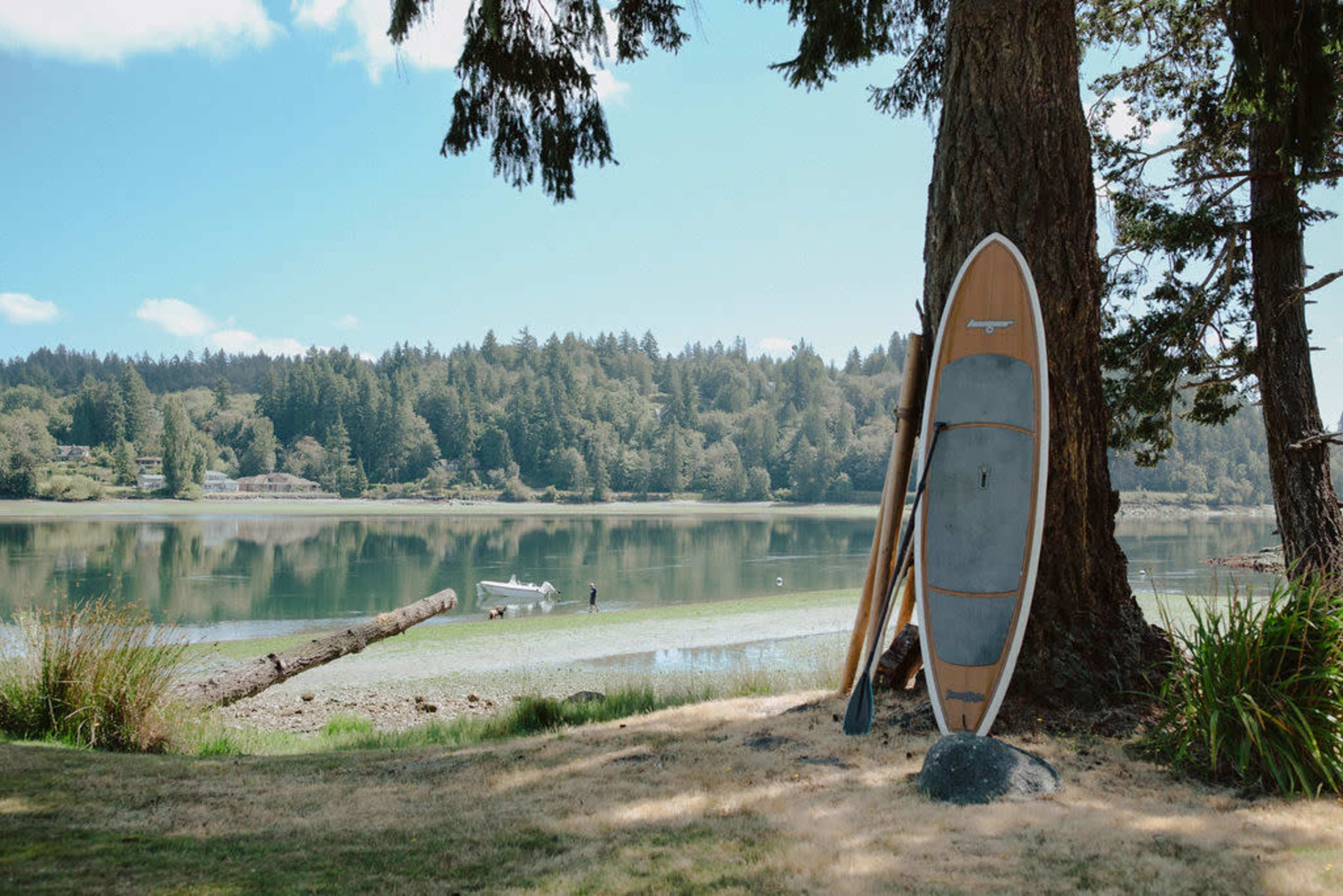 A stand-up paddleboard leans against a tree by a calm lake surrounded by forested hills.