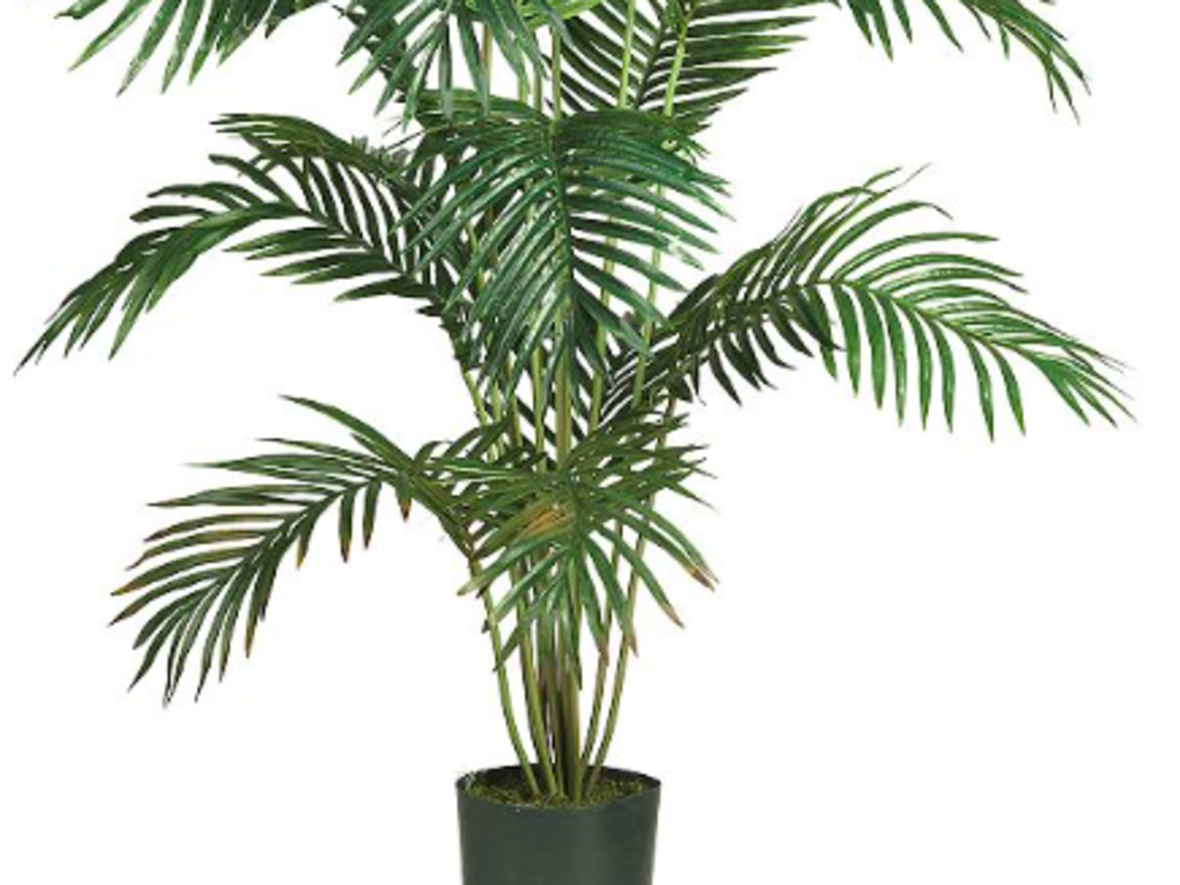 Faux Palm Tree Plant - 6ft