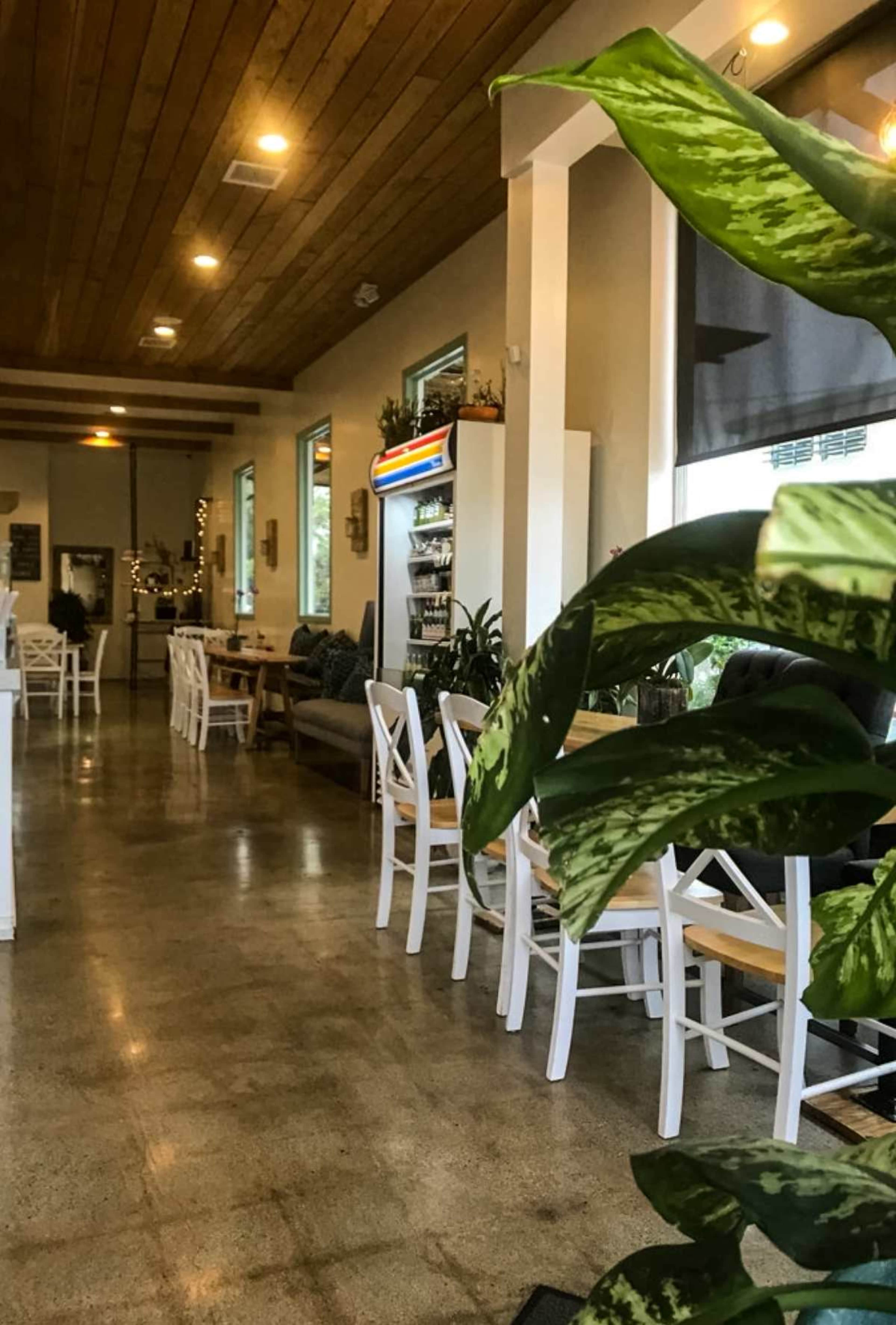 The image shows a cozy café interior with wooden ceiling beams, comfortable seating, and potted plants positioned throughout.