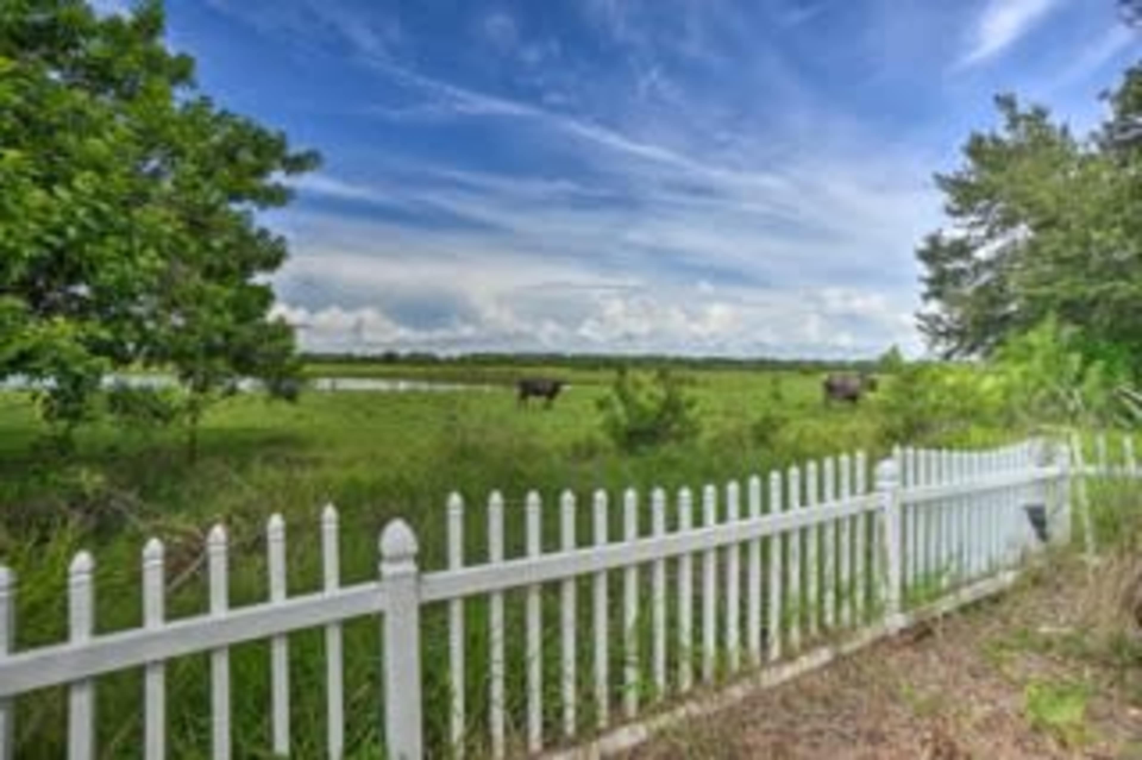 A white picket fence surrounds a grassy field where two cows graze under a blue sky with scattered clouds.