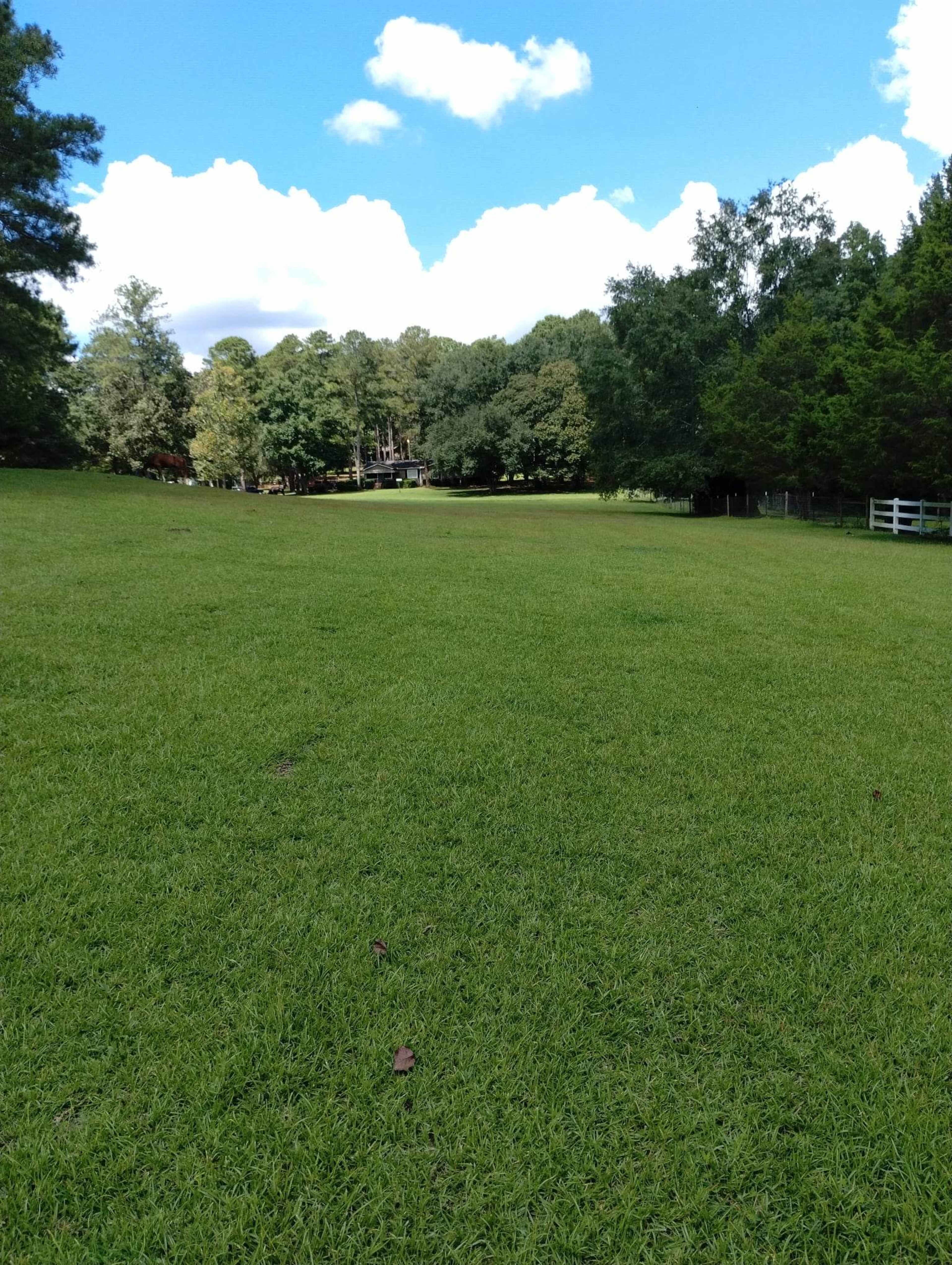 A wide green field extends towards a house nestled among trees under a partly cloudy sky.