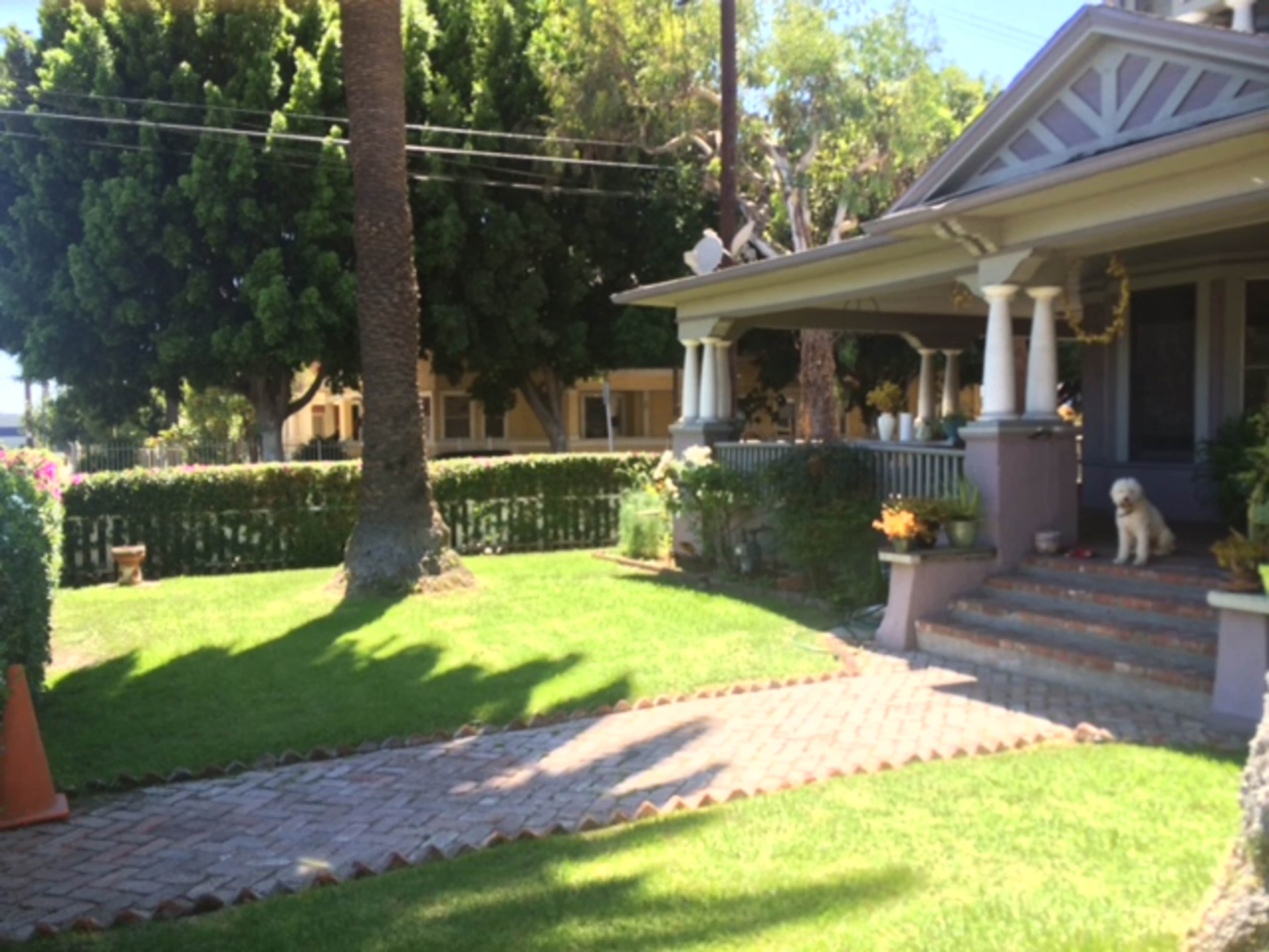 The image shows a well-maintained front yard with a brick pathway leading to a house, surrounded by grass and trees, and a dog is standing on the steps.