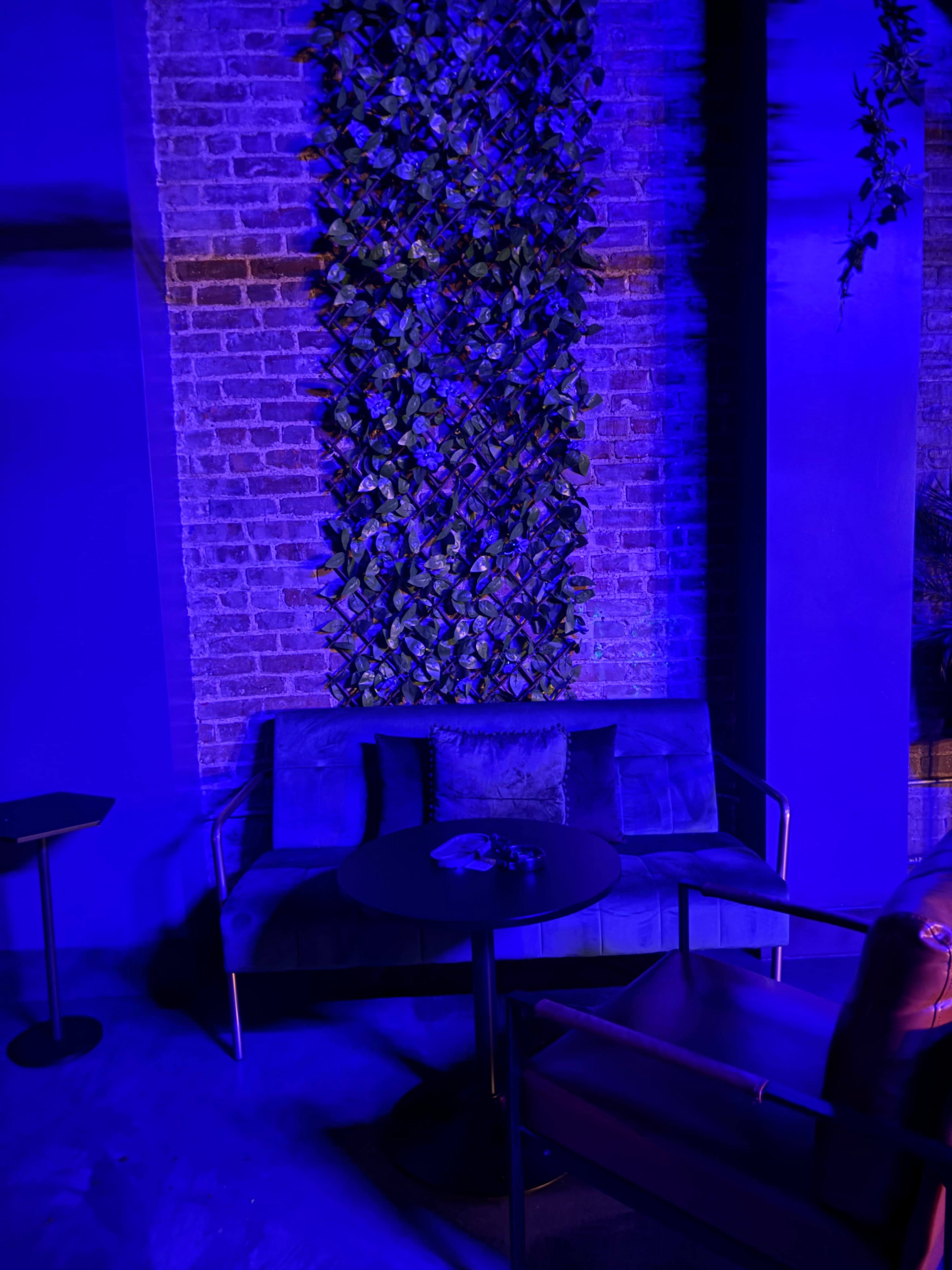 The image shows a dimly lit lounge area featuring a blue-toned wall with a plant installation and a seating arrangement consisting of a sofa and a round table.