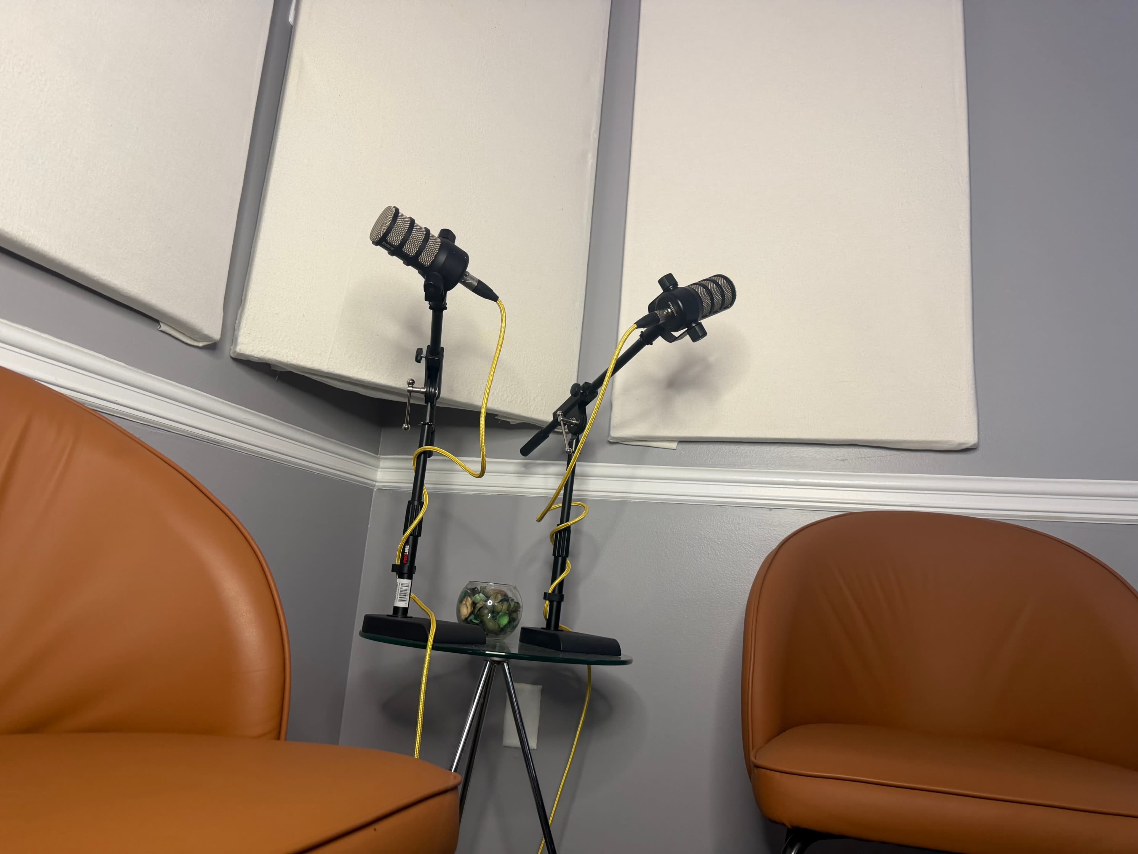 The image shows two microphones on stands with yellow cables, positioned between two padded chairs in a soundproofed room.