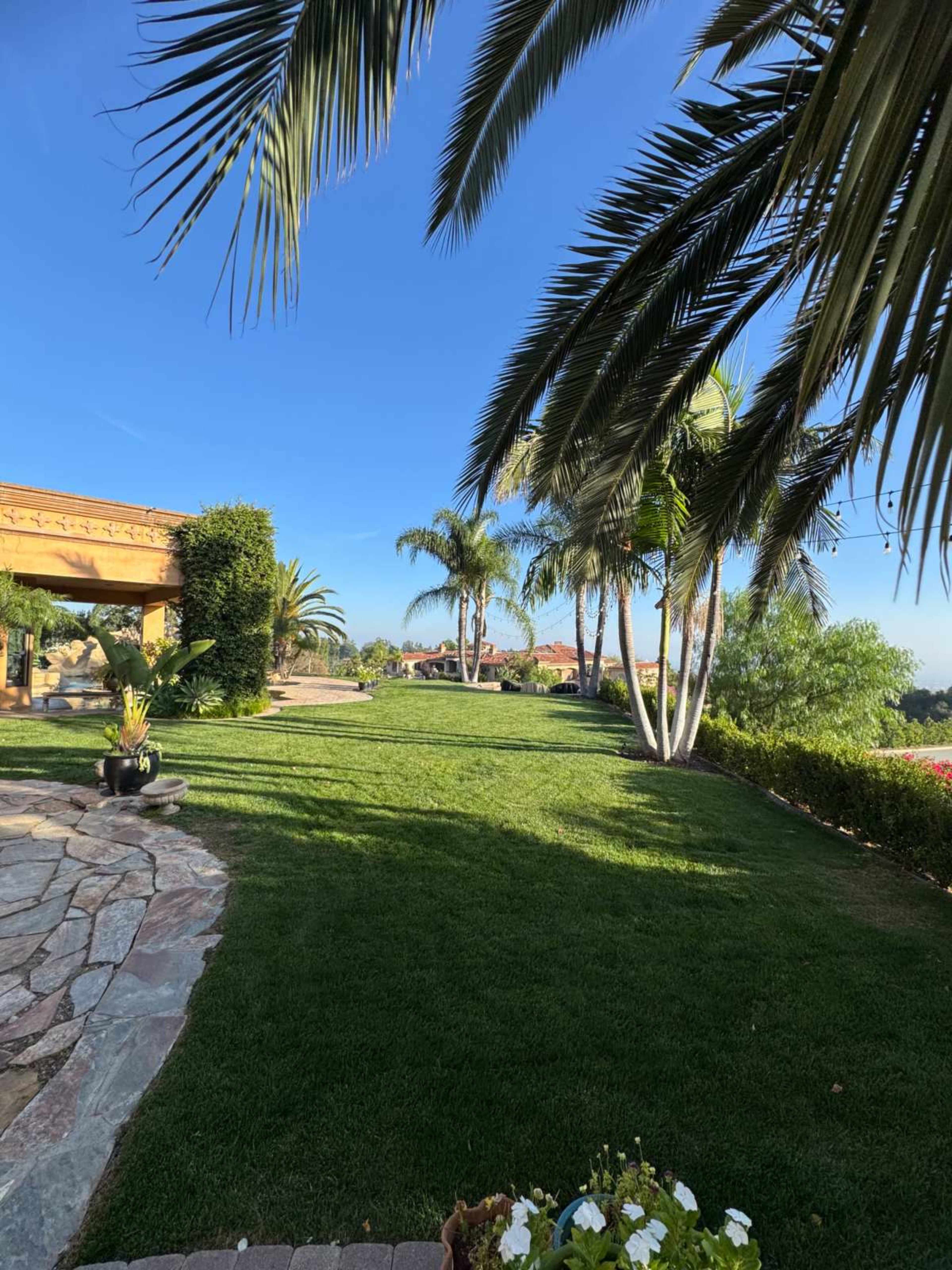 A well-maintained lawn with palm trees and a stone pathway in a sunny outdoor setting.