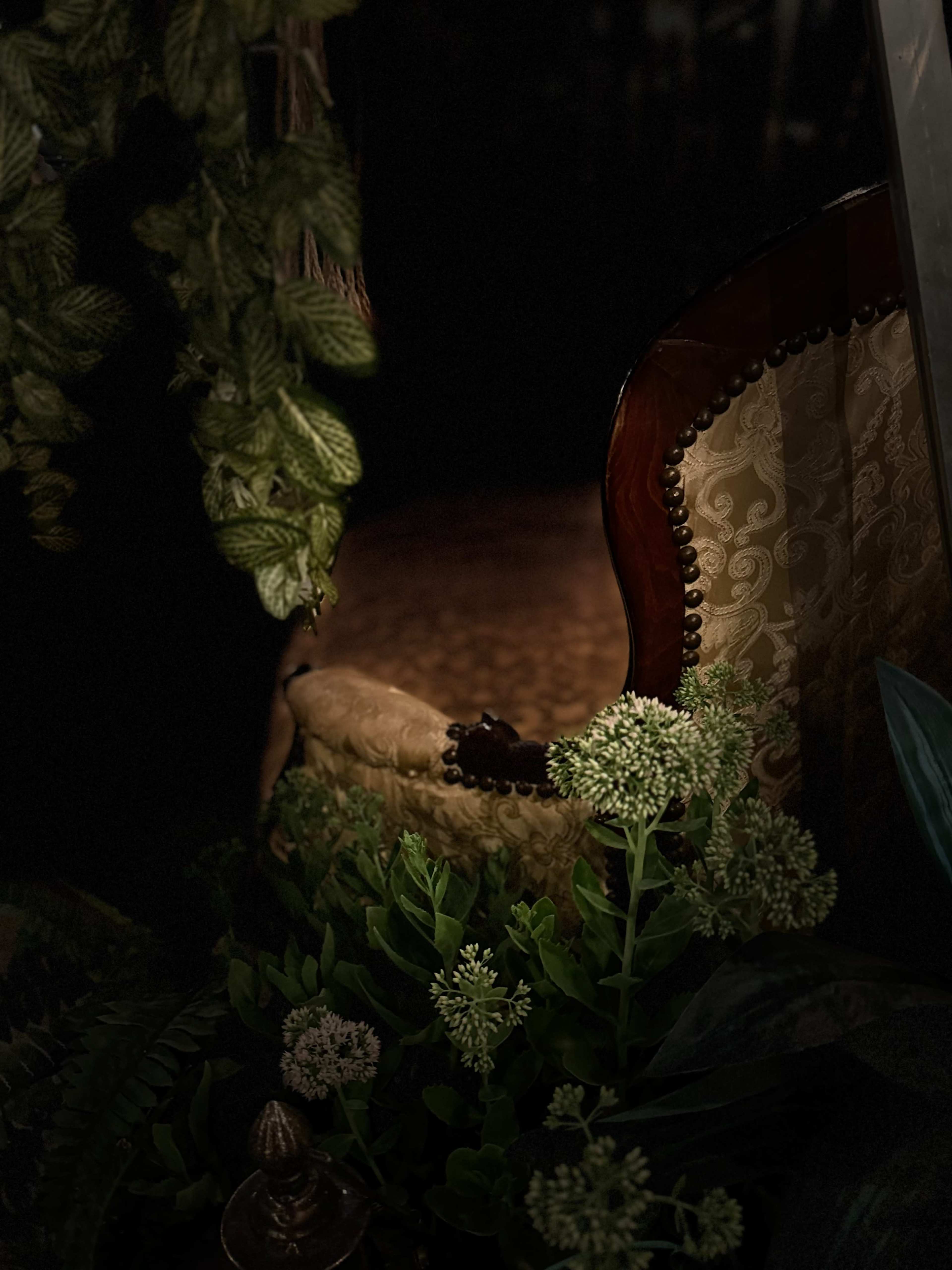 A dimly lit scene features a partially obscured ornate chair surrounded by lush greenery.